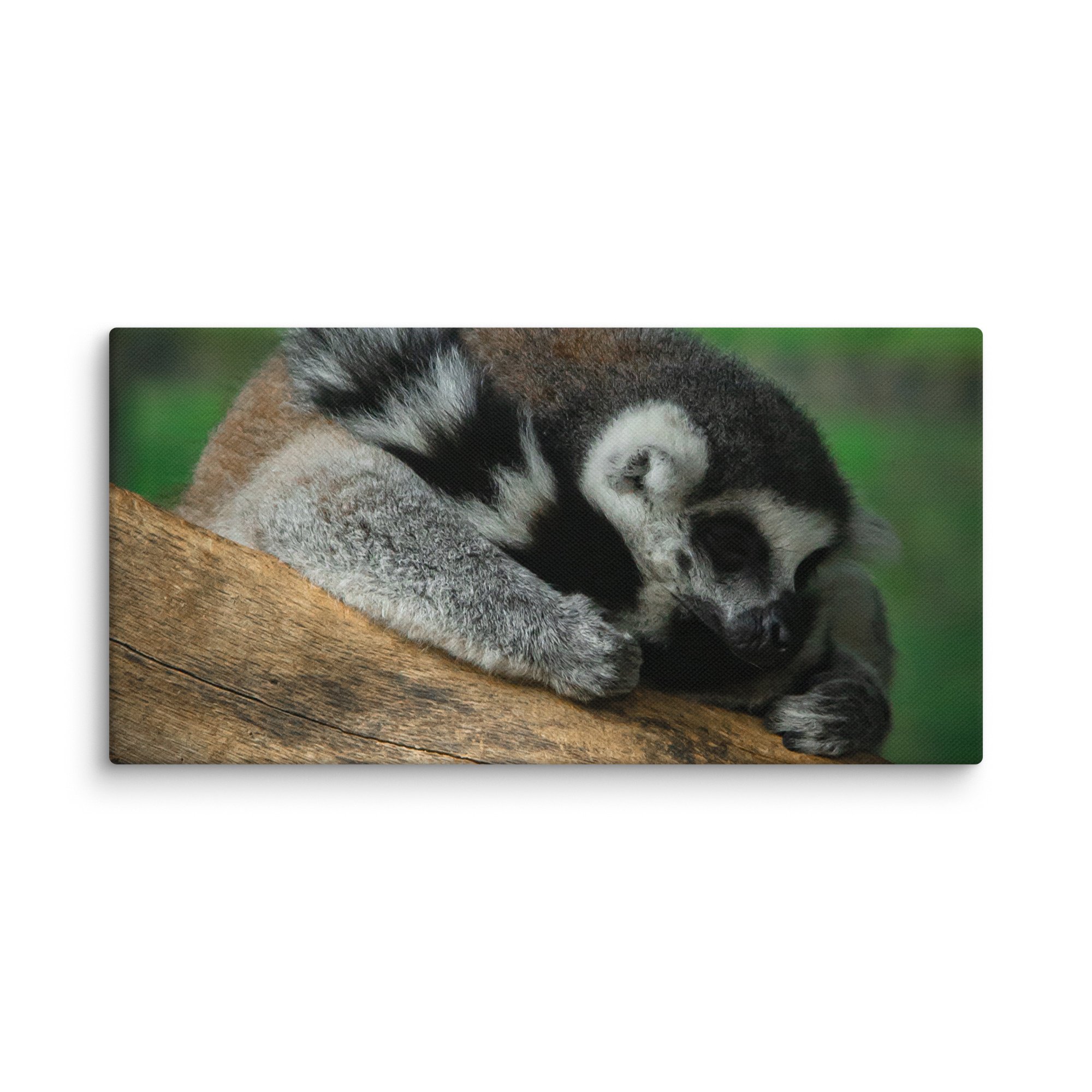canvas-(in)-10x20-wall-67699b5a32c29.jpg