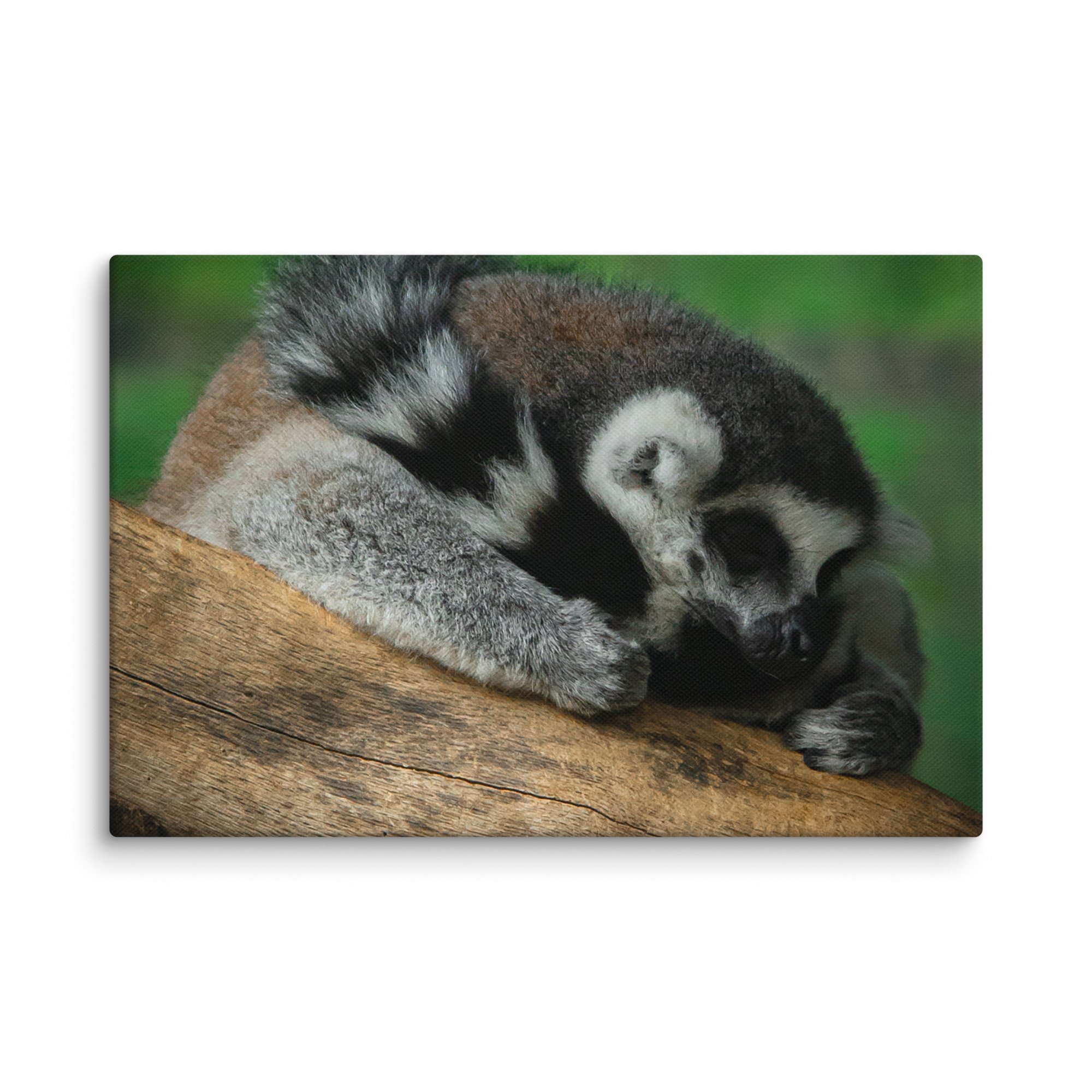 canvas-(in)-12x18-wall-67699b5a32ce9.jpg