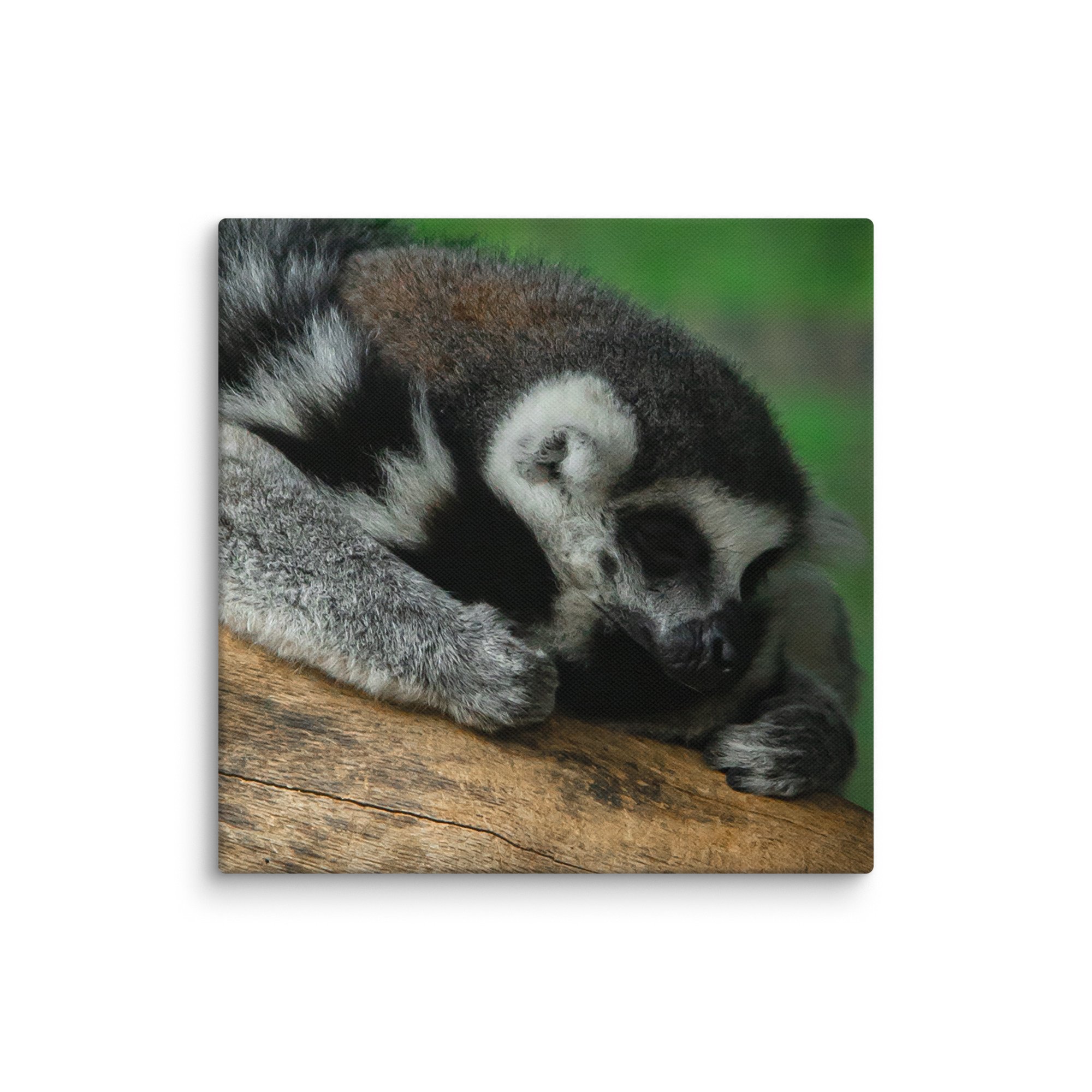 canvas-(in)-14x14-wall-67699b5a32d7c.jpg