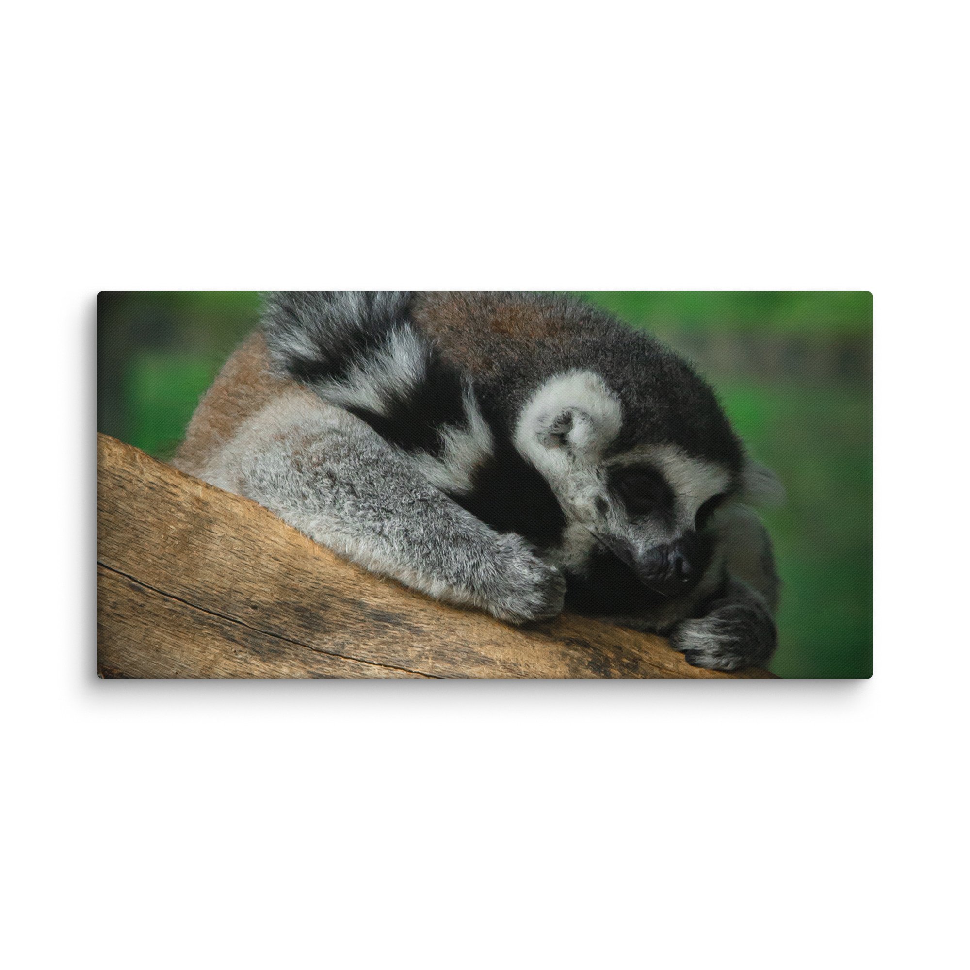 canvas-(in)-16x32-wall-67699b5a32e1c.jpg