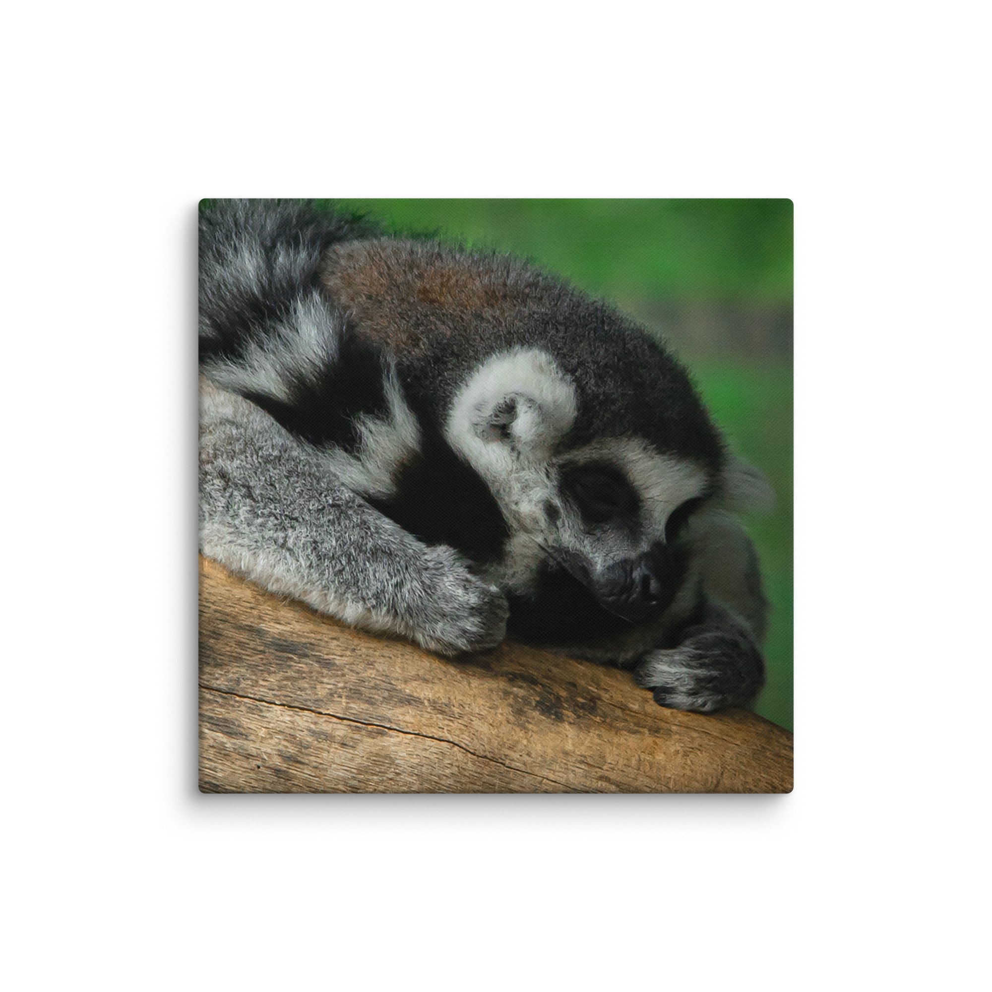 canvas-(in)-20x20-wall-67699b5a32eee.jpg