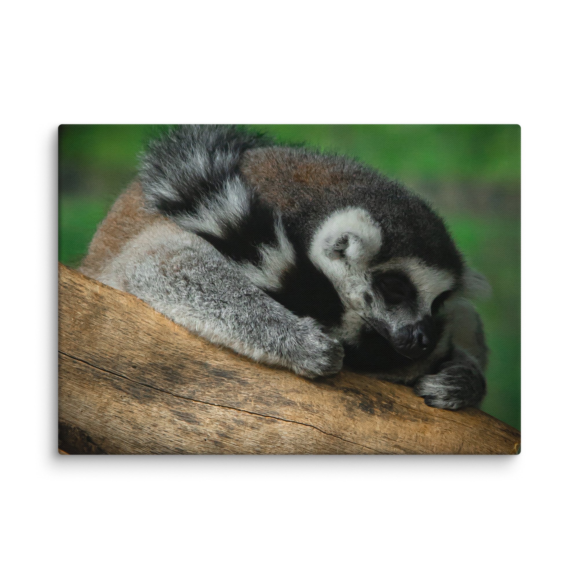 canvas-(in)-20x28-wall-67699b5a32f78.jpg