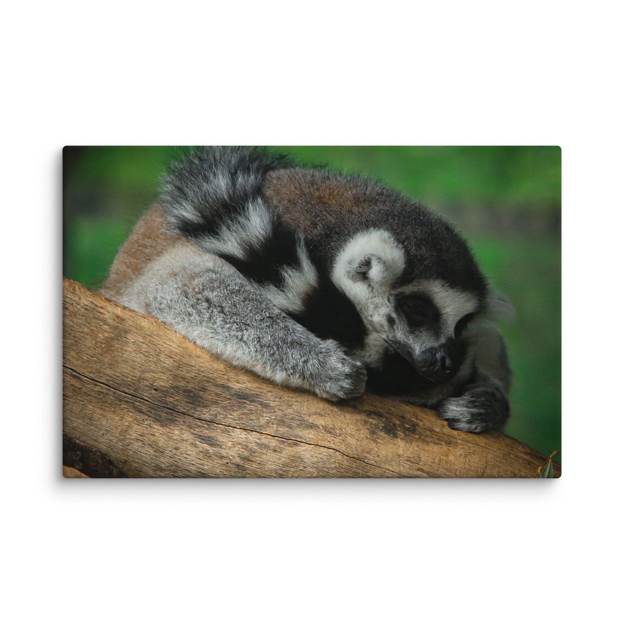 canvas-(in)-20x30-wall-67699b5a32fbc.jpg