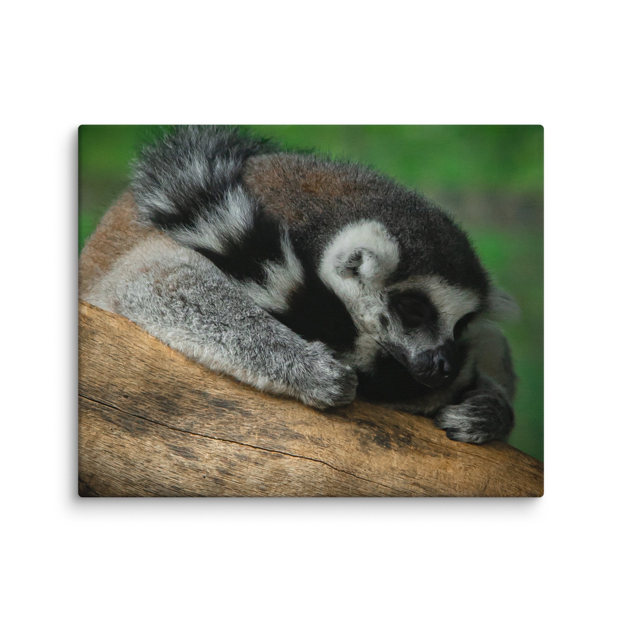 canvas-(in)-24x30-wall-67699b5a3308c.jpg