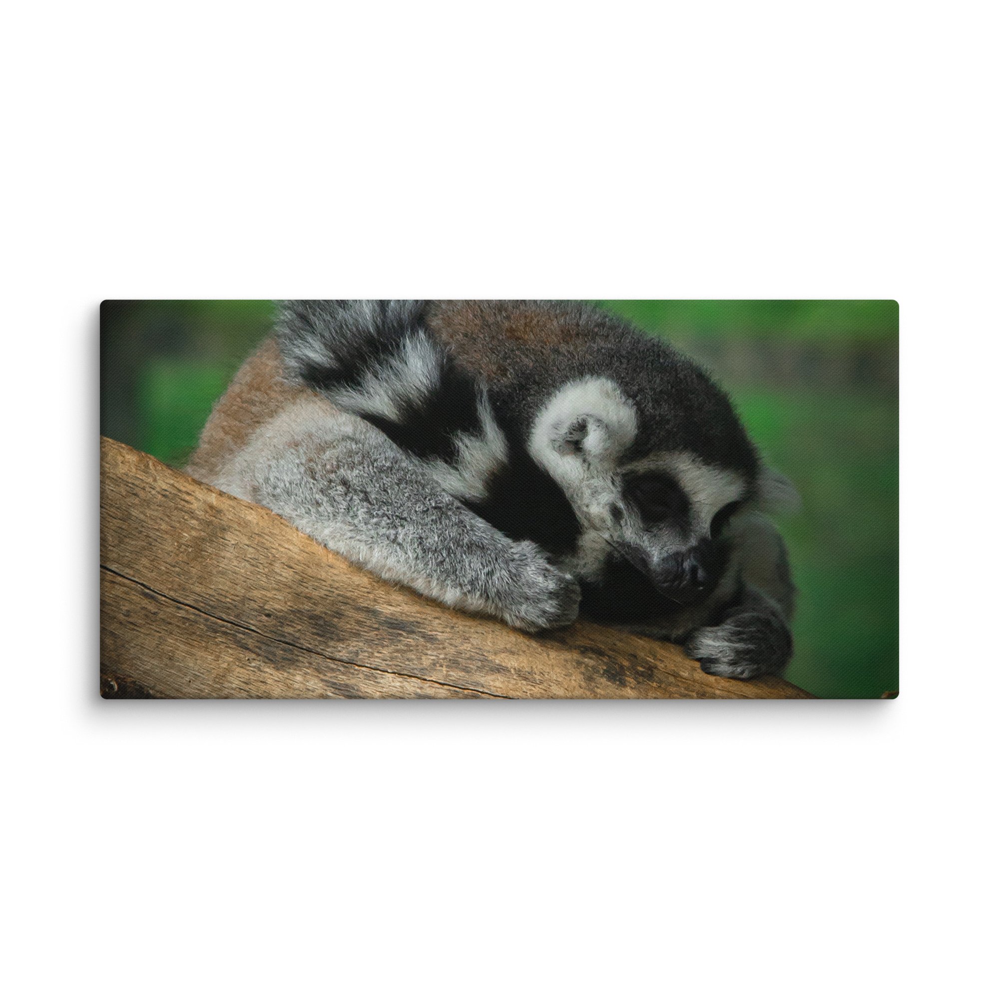 canvas-(in)-24x48-wall-67699b5a33120.jpg