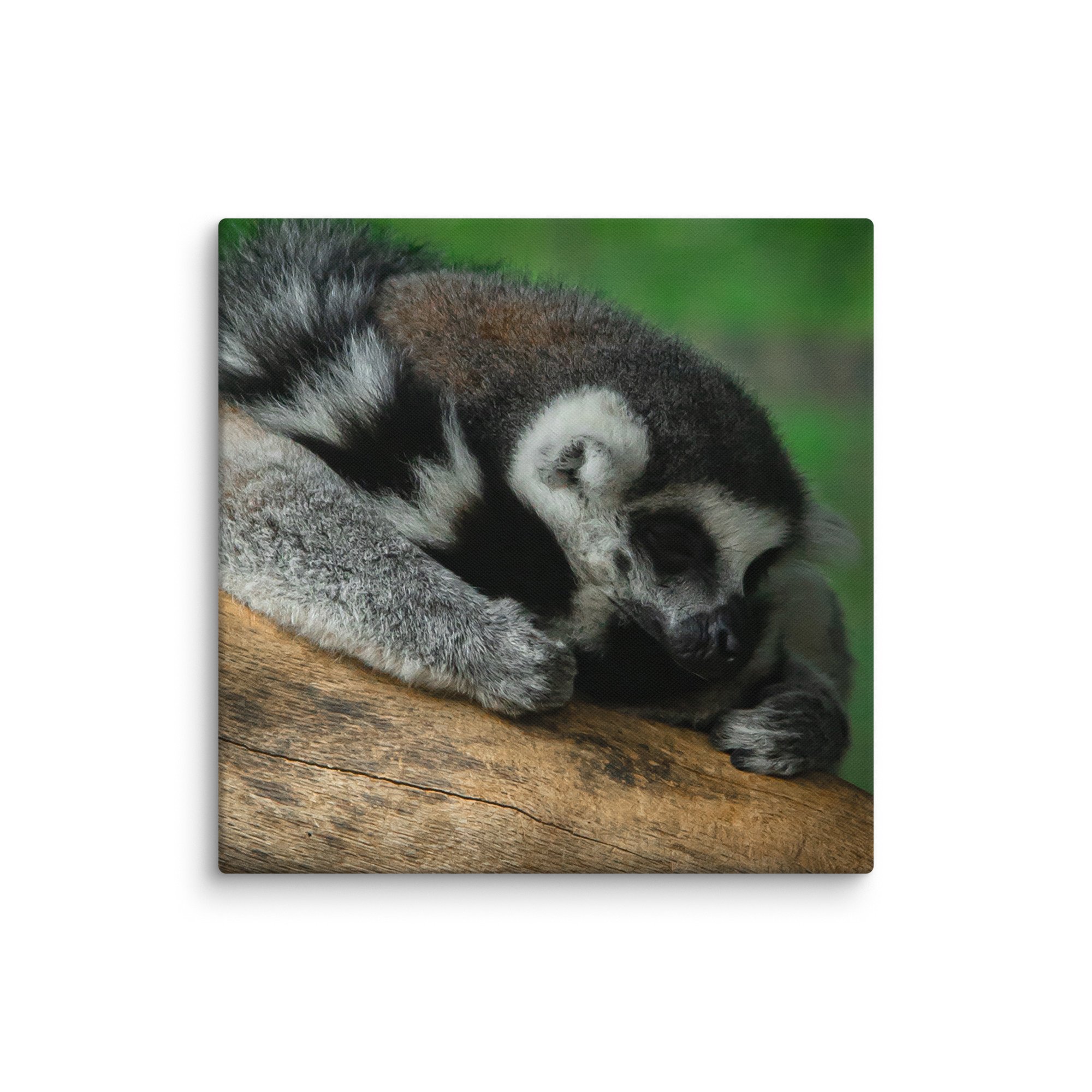 canvas-(in)-26x26-wall-67699b5a33171.jpg