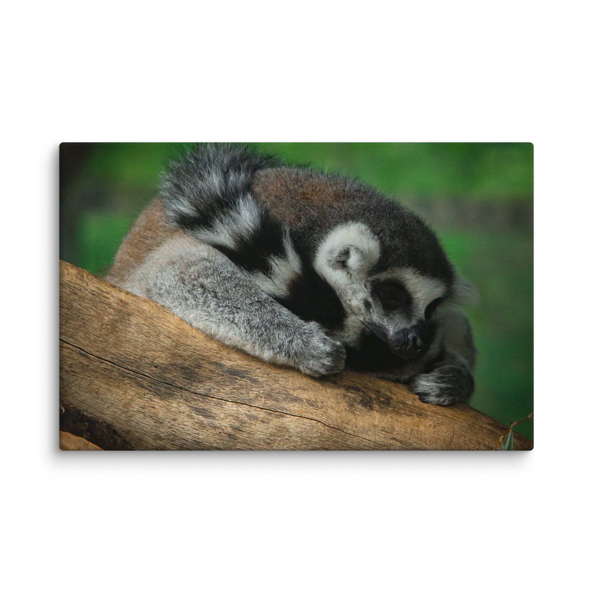 canvas-(in)-26x40-wall-67699b5a331bf.jpg