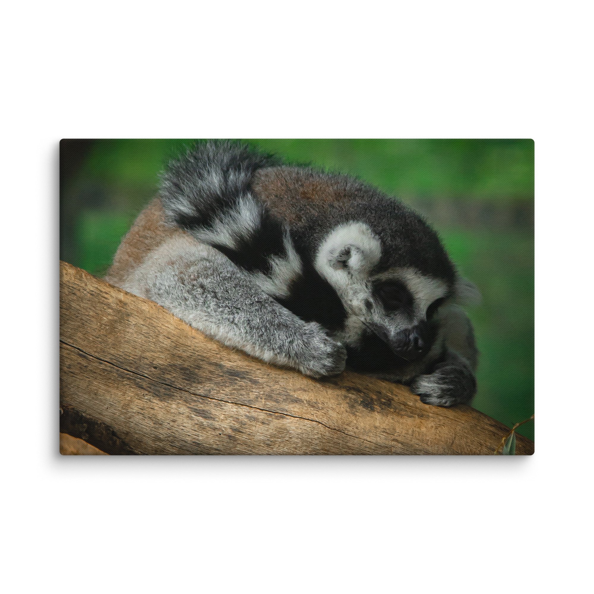 canvas-(in)-32x48-wall-67699b5a333da.jpg