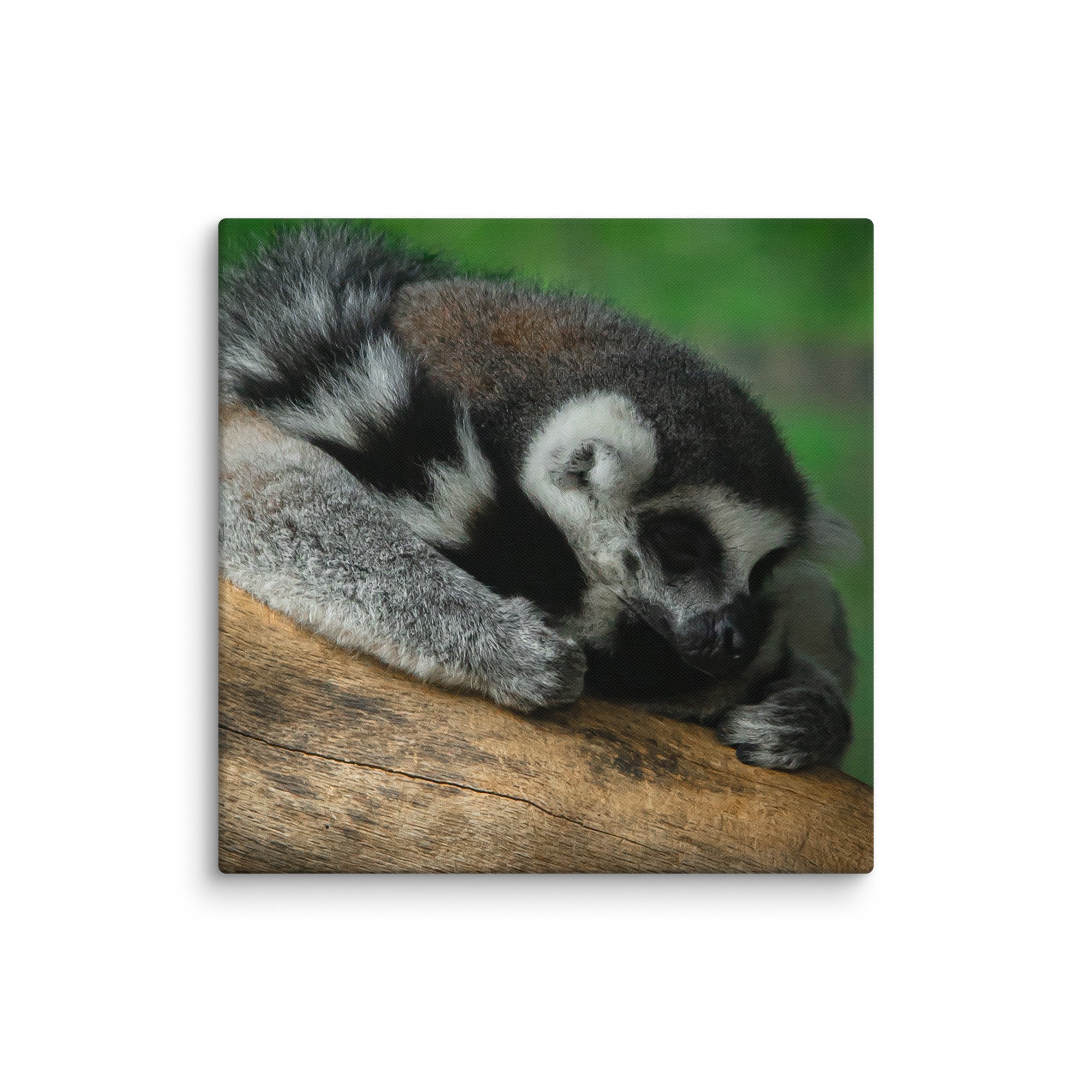 canvas-(in)-37x37-wall-67699b5a33474.jpg