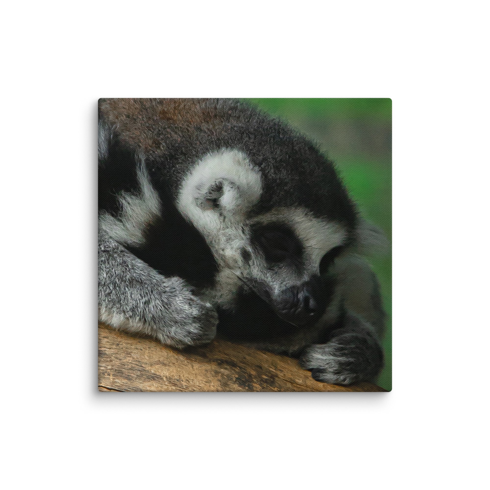 canvas-(in)-6x6-wall-67699b5a3356d.jpg
