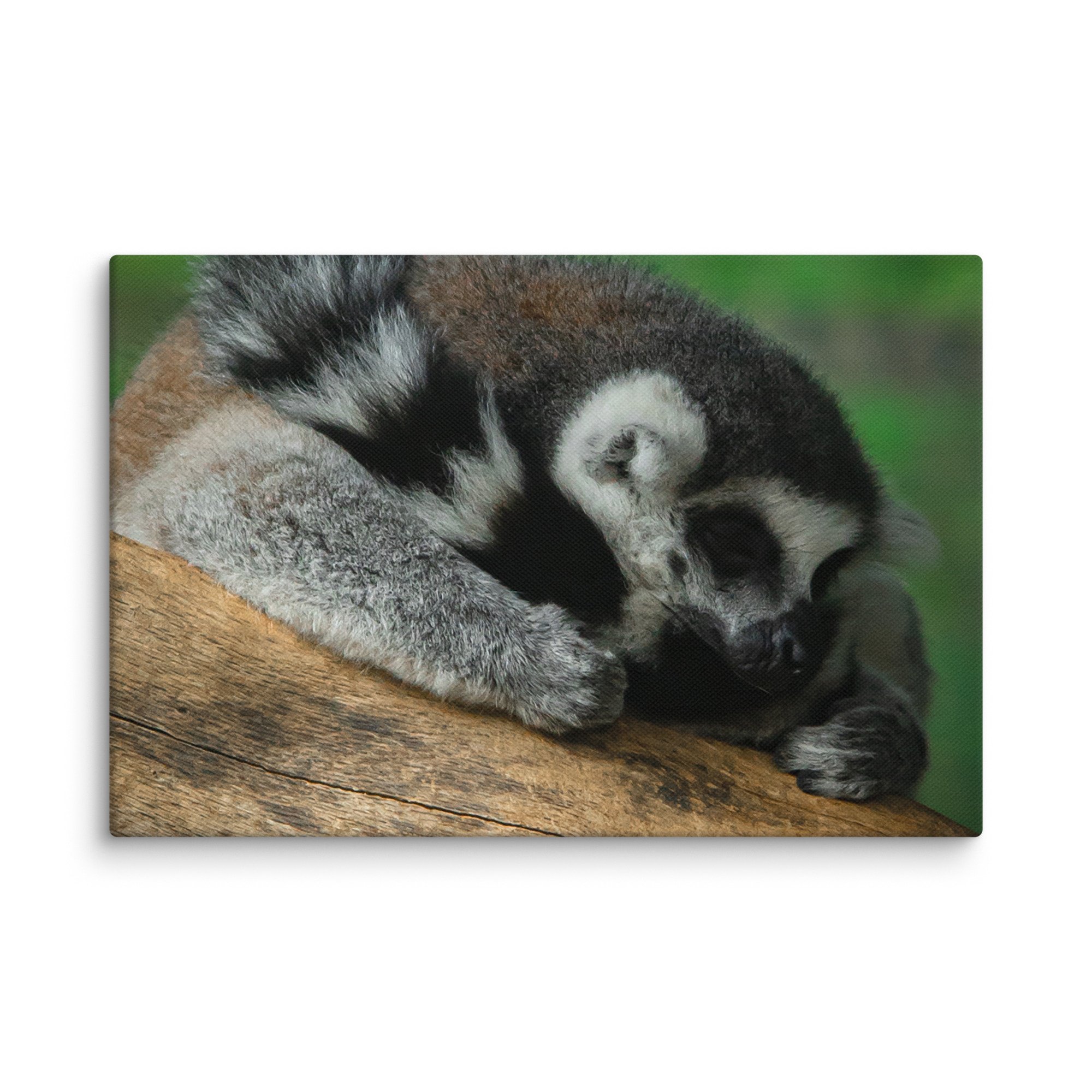 canvas-(in)-8x12-wall-67699b5a335fe.jpg