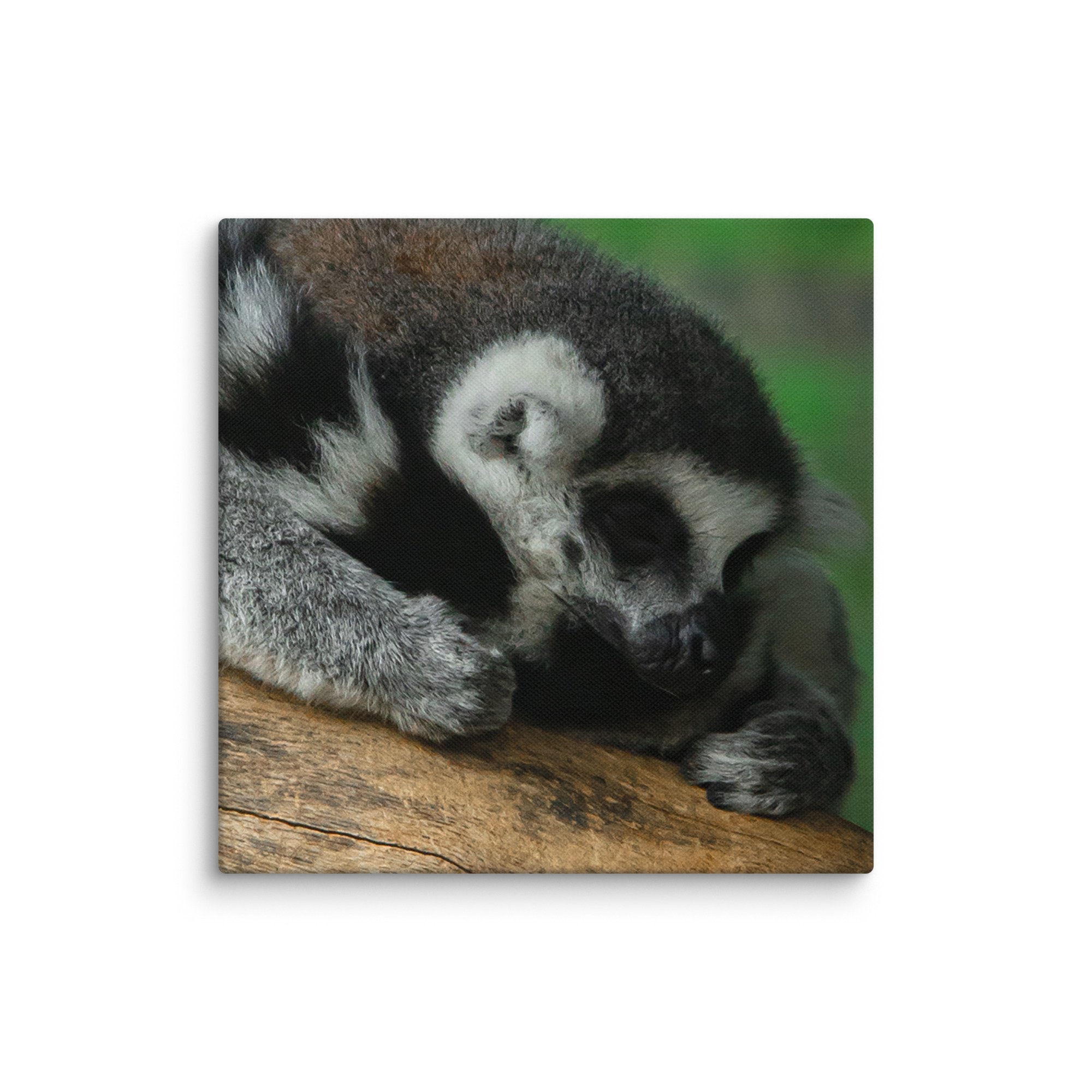 canvas-(in)-16x16-wall-67699b5a337cd.jpg