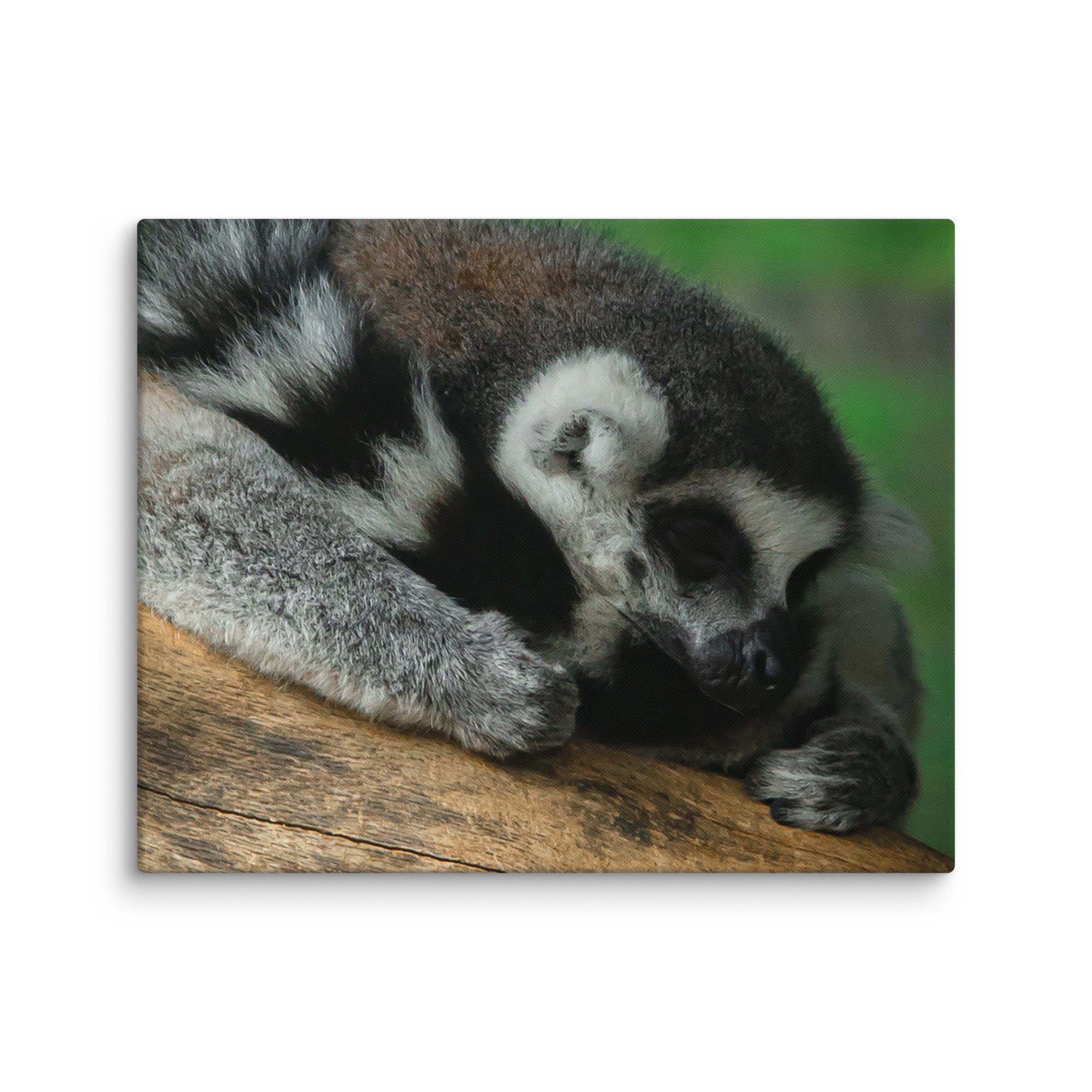 canvas-(in)-16x20-wall-67699b5a33858.jpg