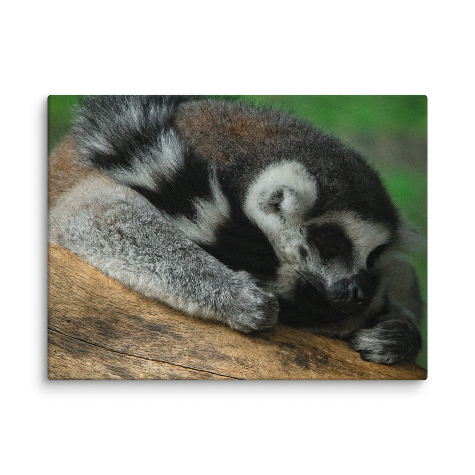 canvas-(in)-18x24-wall-67699b5a338e4.jpg
