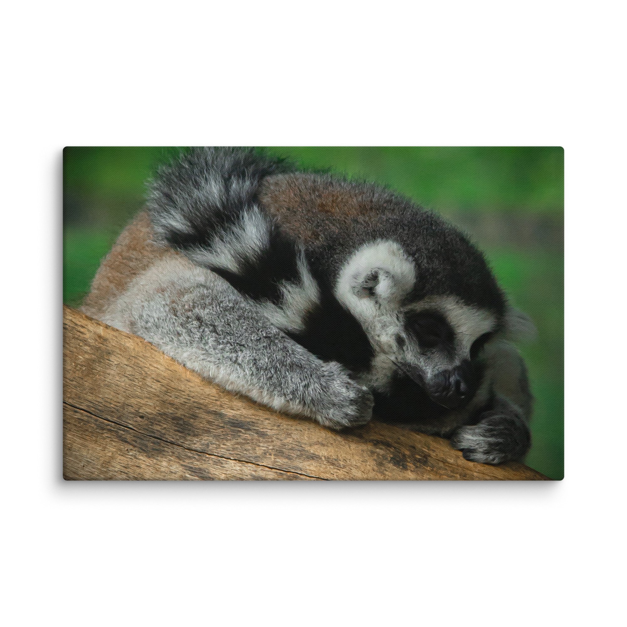 canvas-(in)-24x36-wall-67699b5a33962.jpg