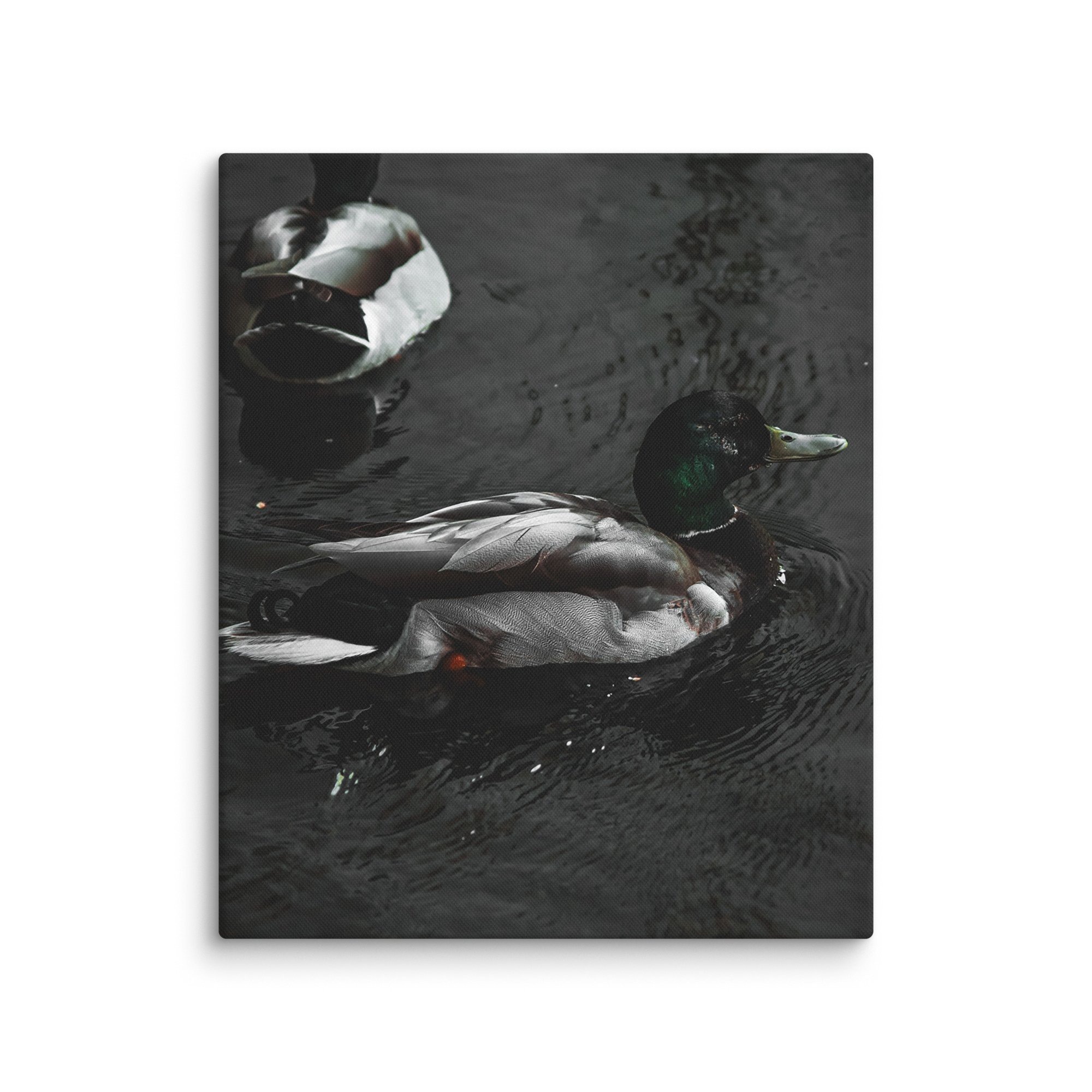 canvas-(in)-20x24-wall-6769c068093c0.jpg