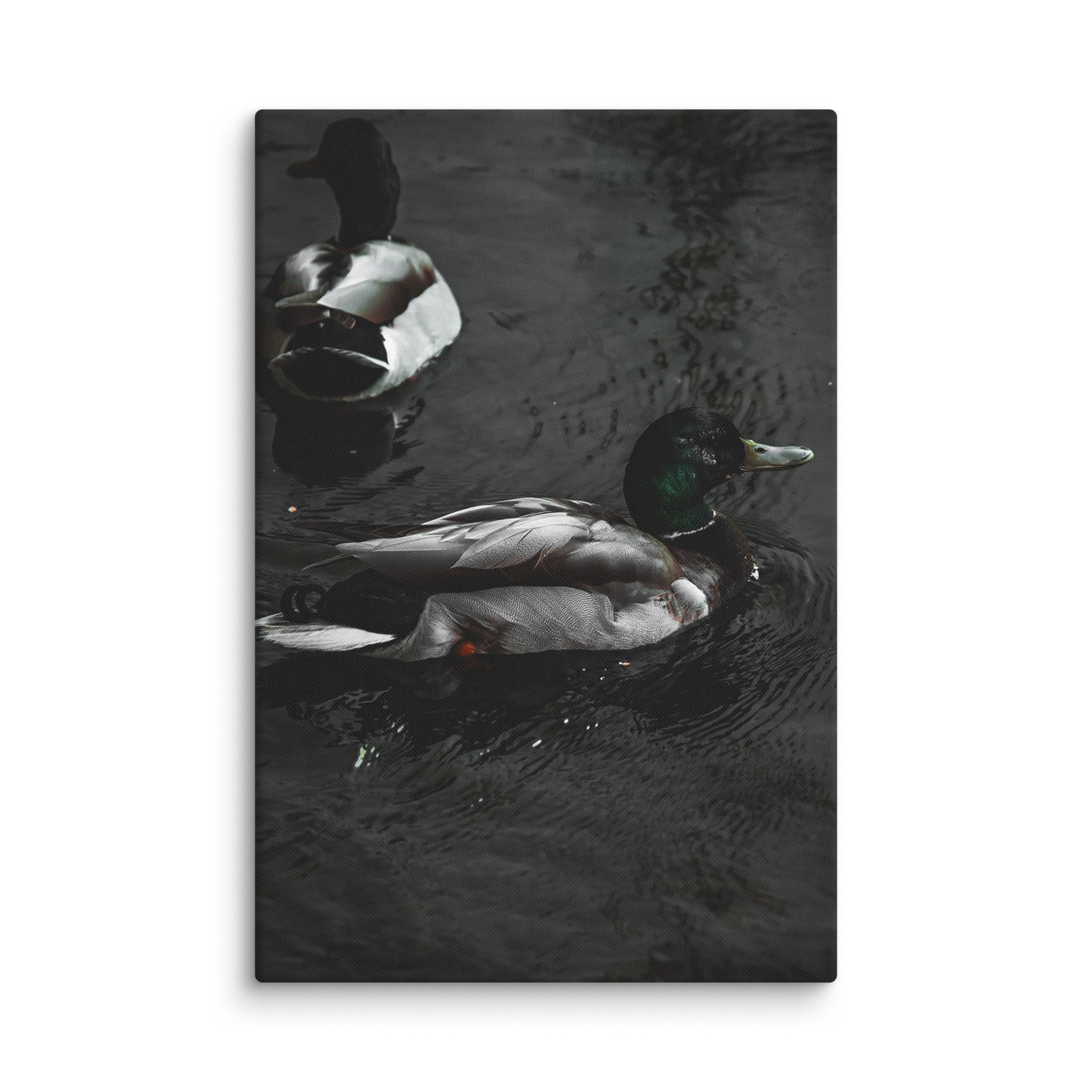 canvas-(in)-20x30-wall-6769c06809452.jpg