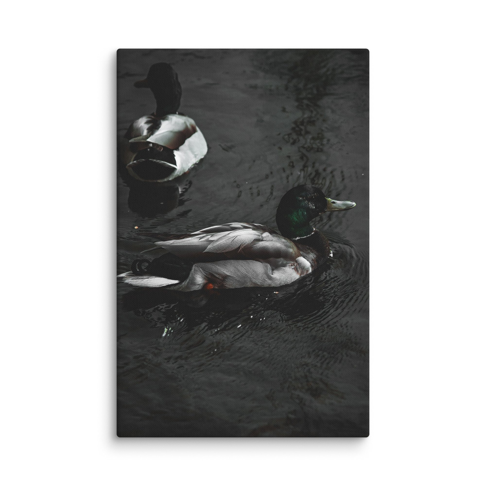 canvas-(in)-26x40-wall-6769c06809637.jpg