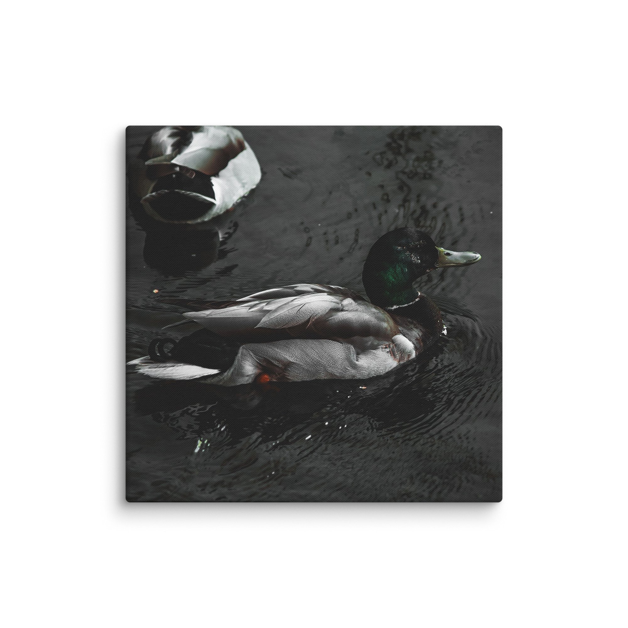 canvas-(in)-28x28-wall-6769c068096ba.jpg