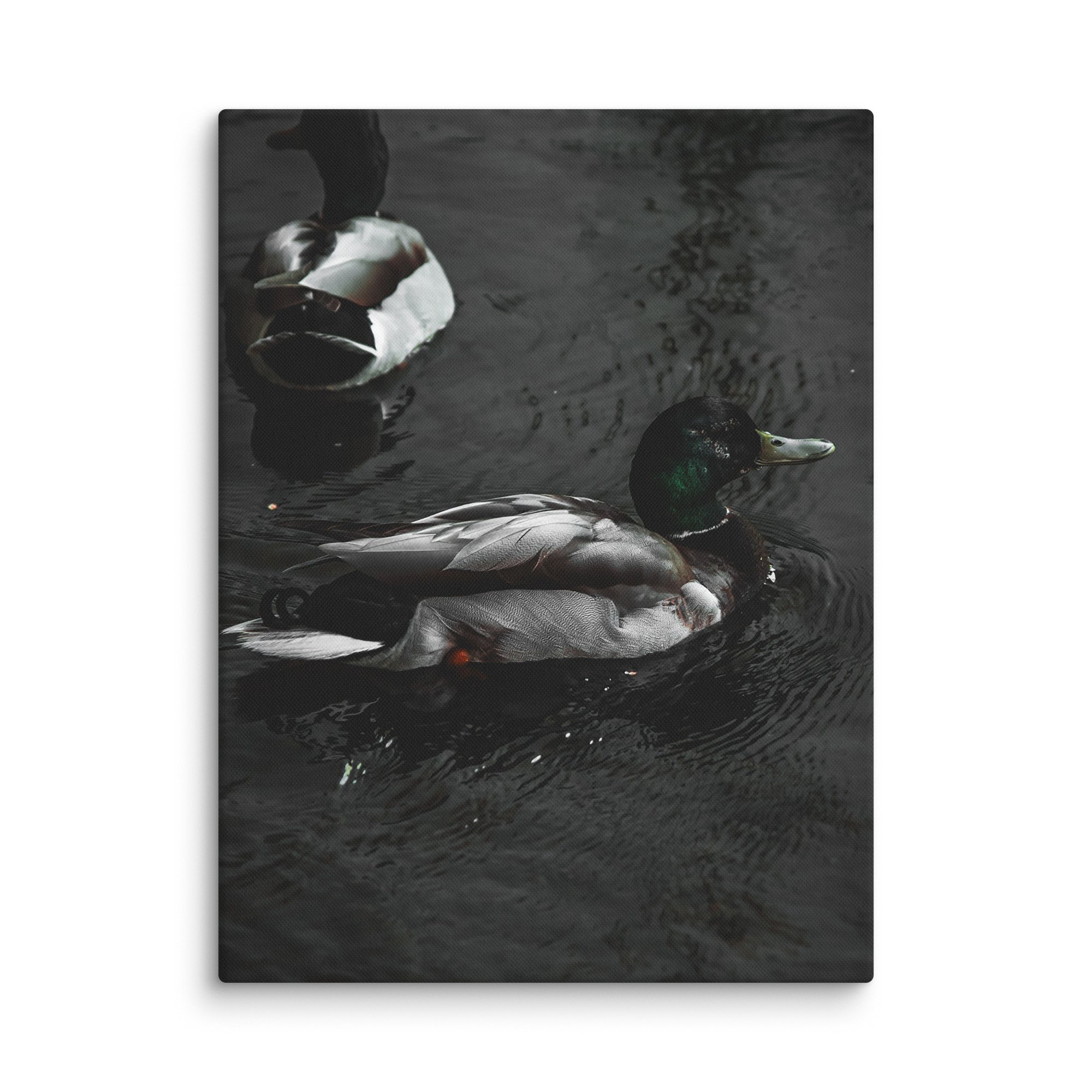 canvas-(in)-30x40-wall-6769c068097b6.jpg