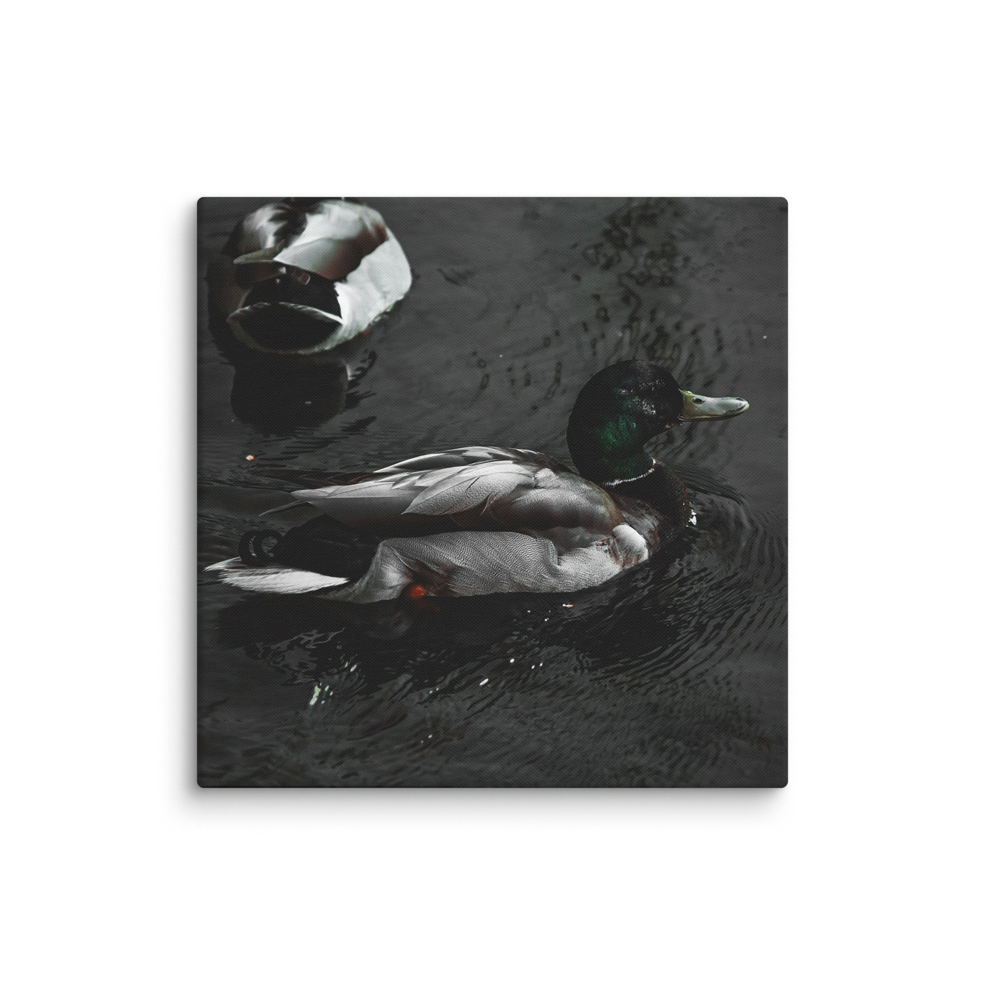 canvas-(in)-37x37-wall-6769c06809969.jpg
