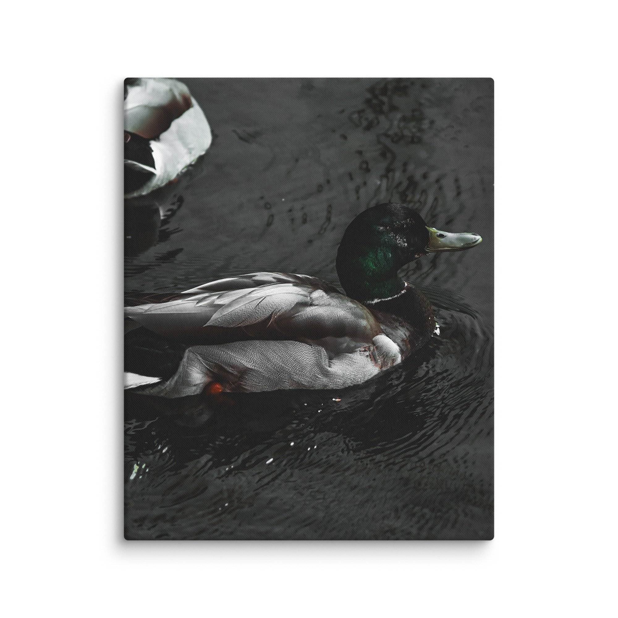 canvas-(in)-16x20-wall-6769c06809a00.jpg