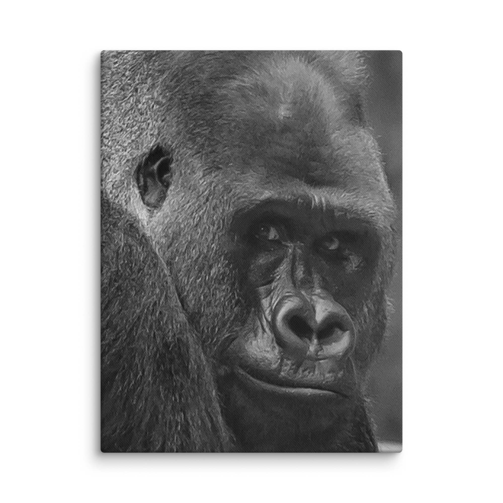 canvas-(in)-12x16-wall-6769c89c2fc8b.jpg