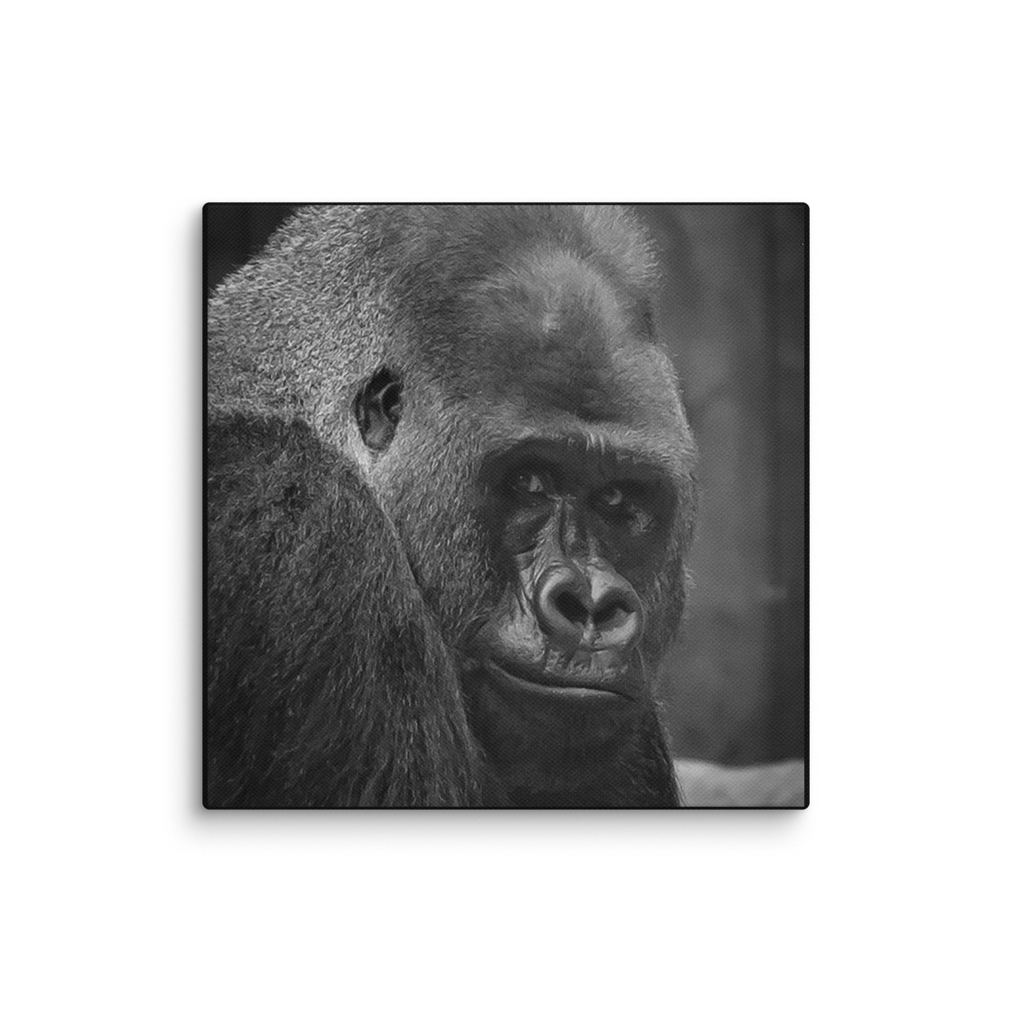 canvas-(in)-10x10-wall-6769c89c3034d.jpg