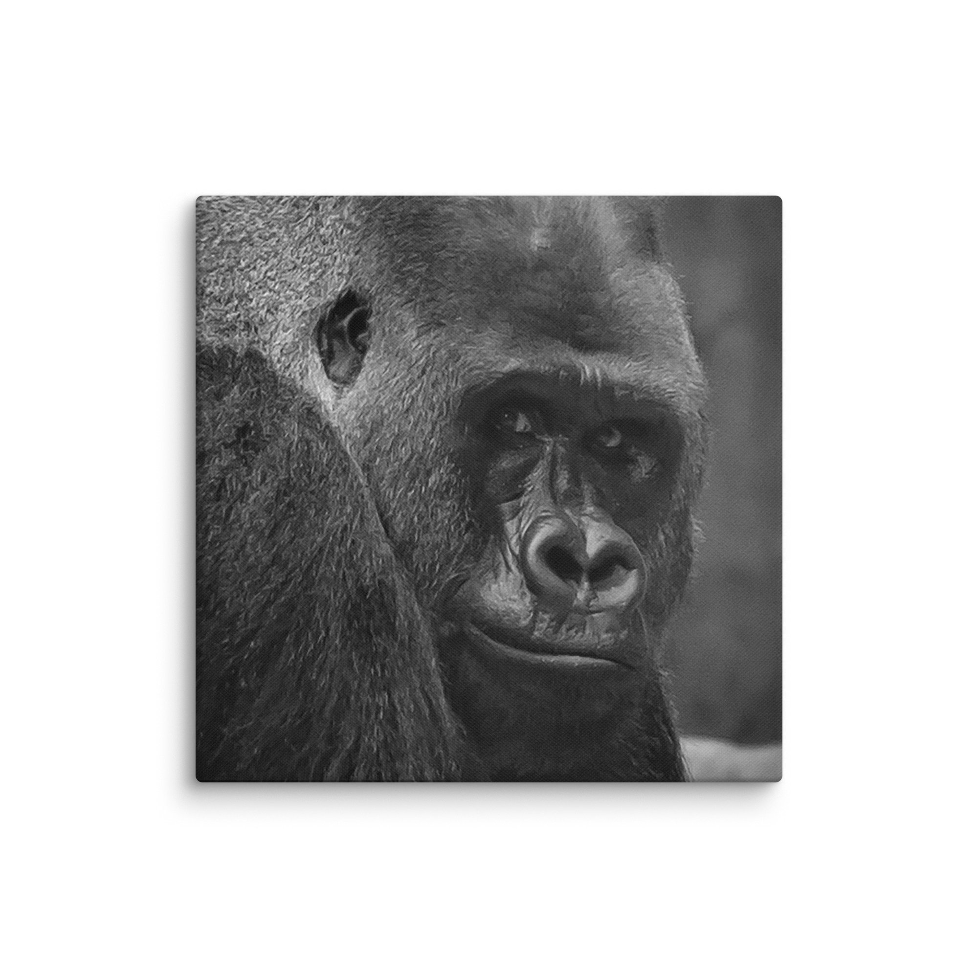 canvas-(in)-18x18-wall-6769c89c306c7.jpg