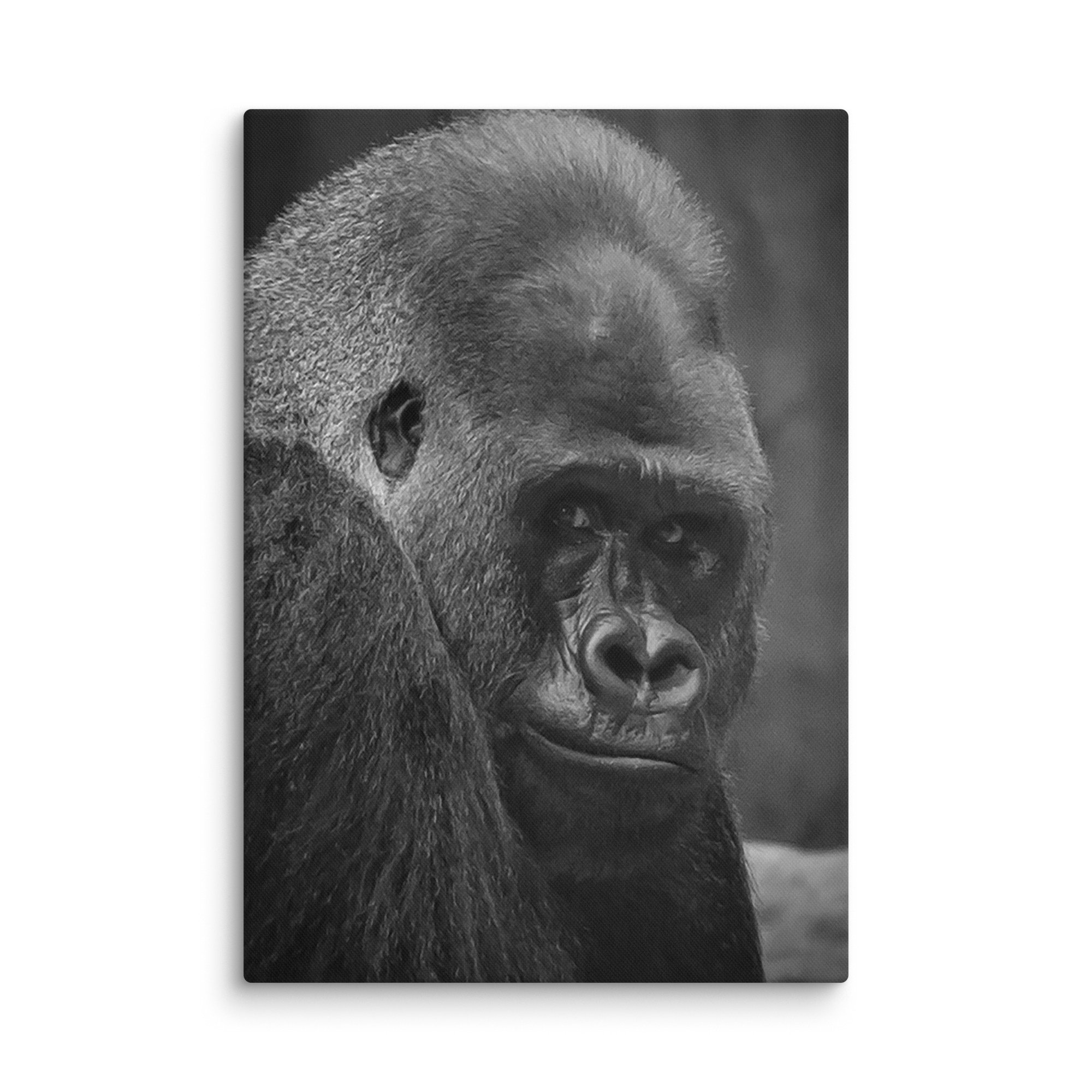 canvas-(in)-18x26-wall-6769c89c30712.jpg