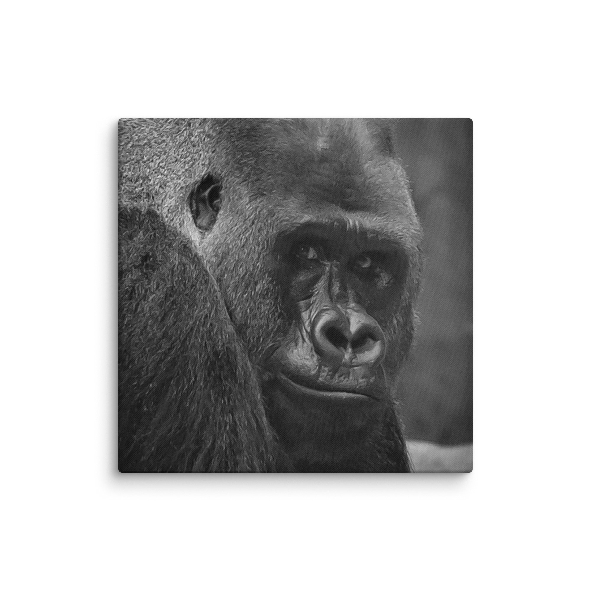 canvas-(in)-20x20-wall-6769c89c3076d.jpg