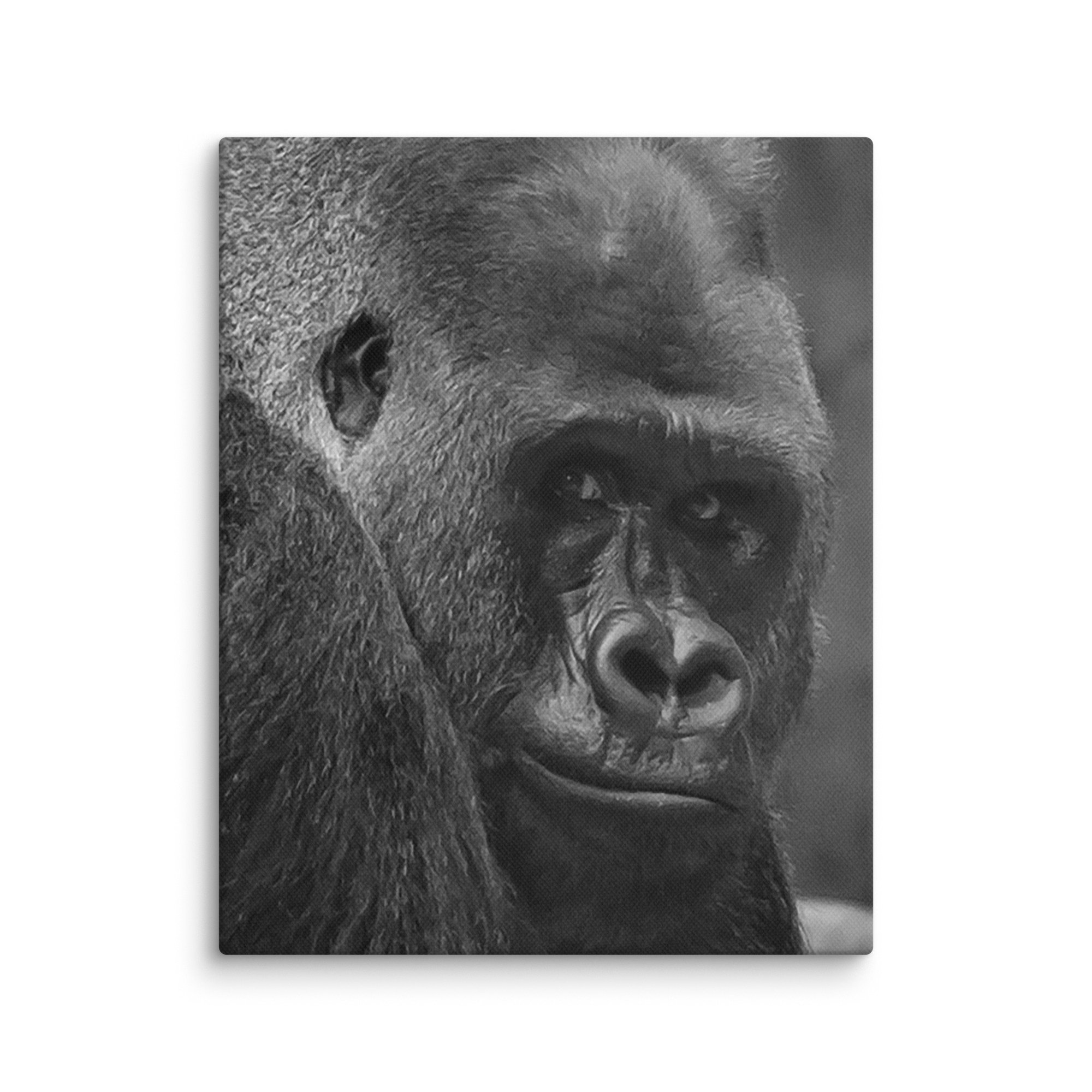 canvas-(in)-8x10-wall-6769c89c30f29.jpg