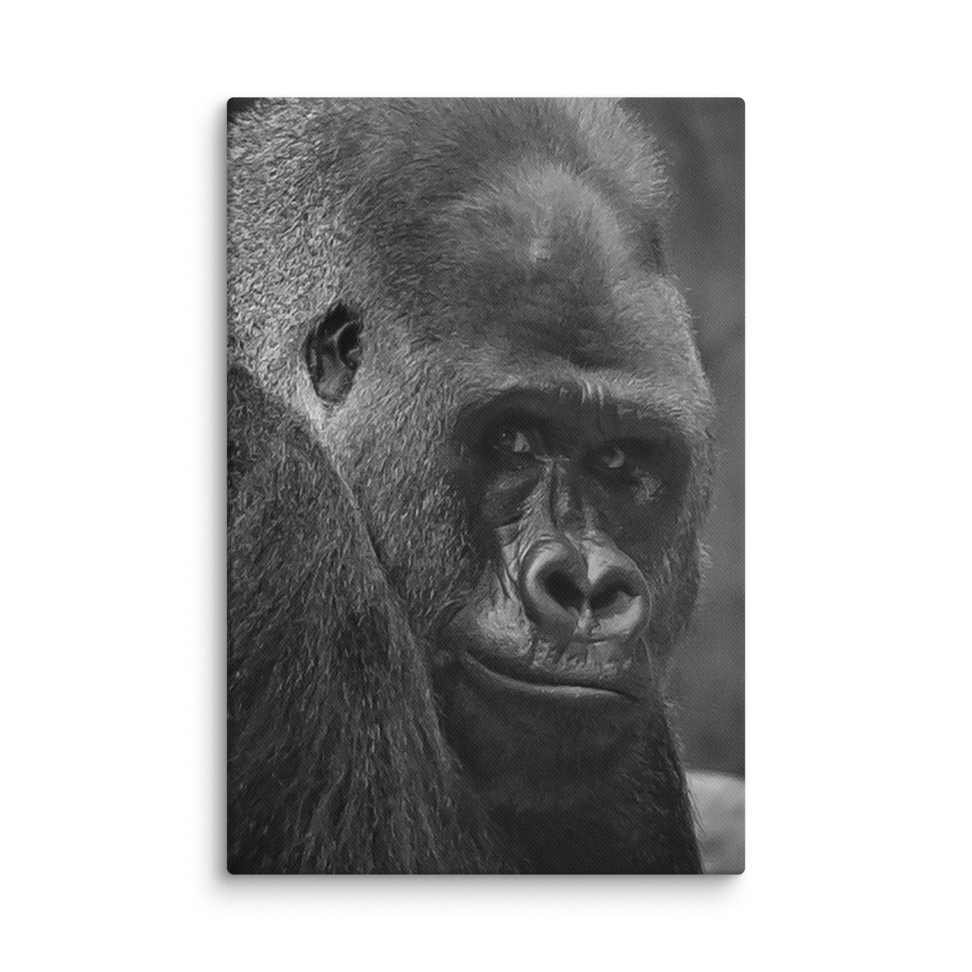 canvas-(in)-8x12-wall-6769c89c30f75.jpg