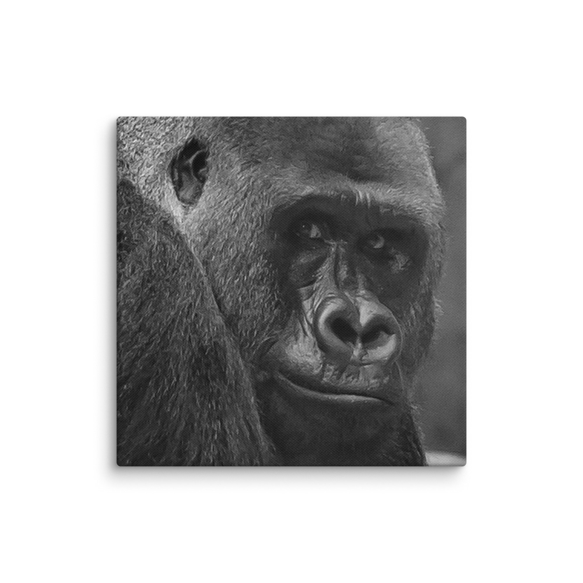 canvas-(in)-8x8-wall-6769c89c30fbf.jpg