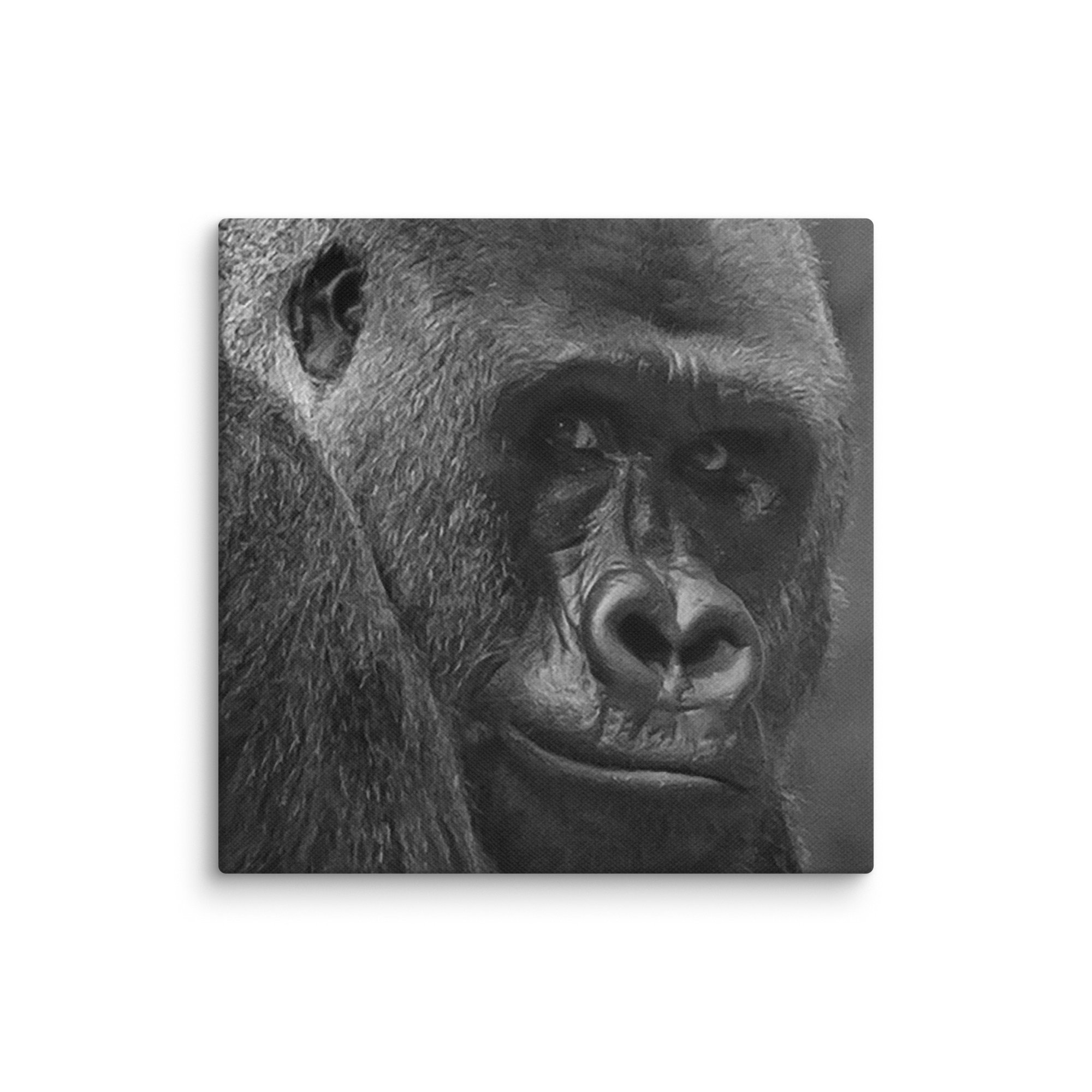 canvas-(in)-12x12-wall-6769c89c31053.jpg