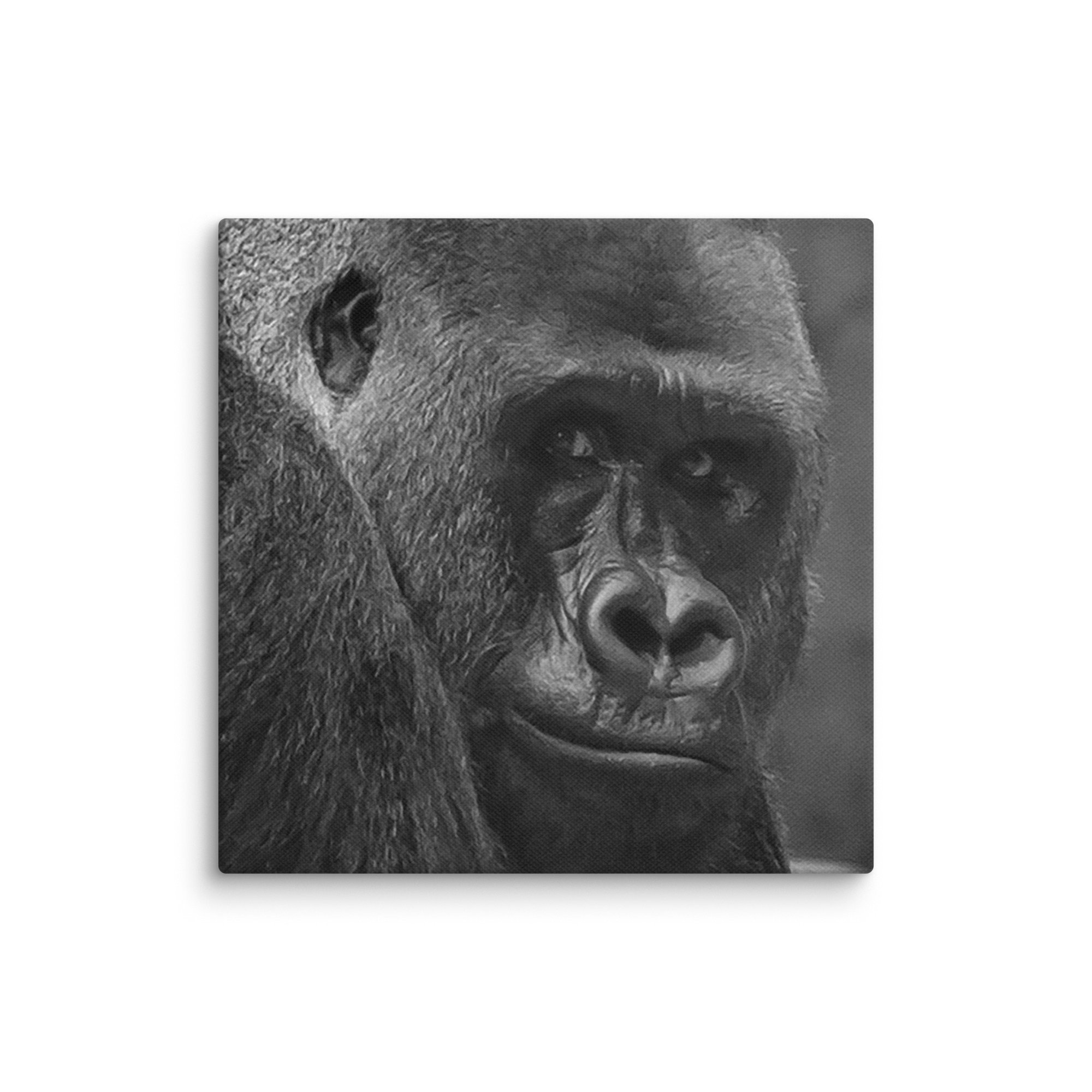 canvas-(in)-16x16-wall-6769c89c31125.jpg