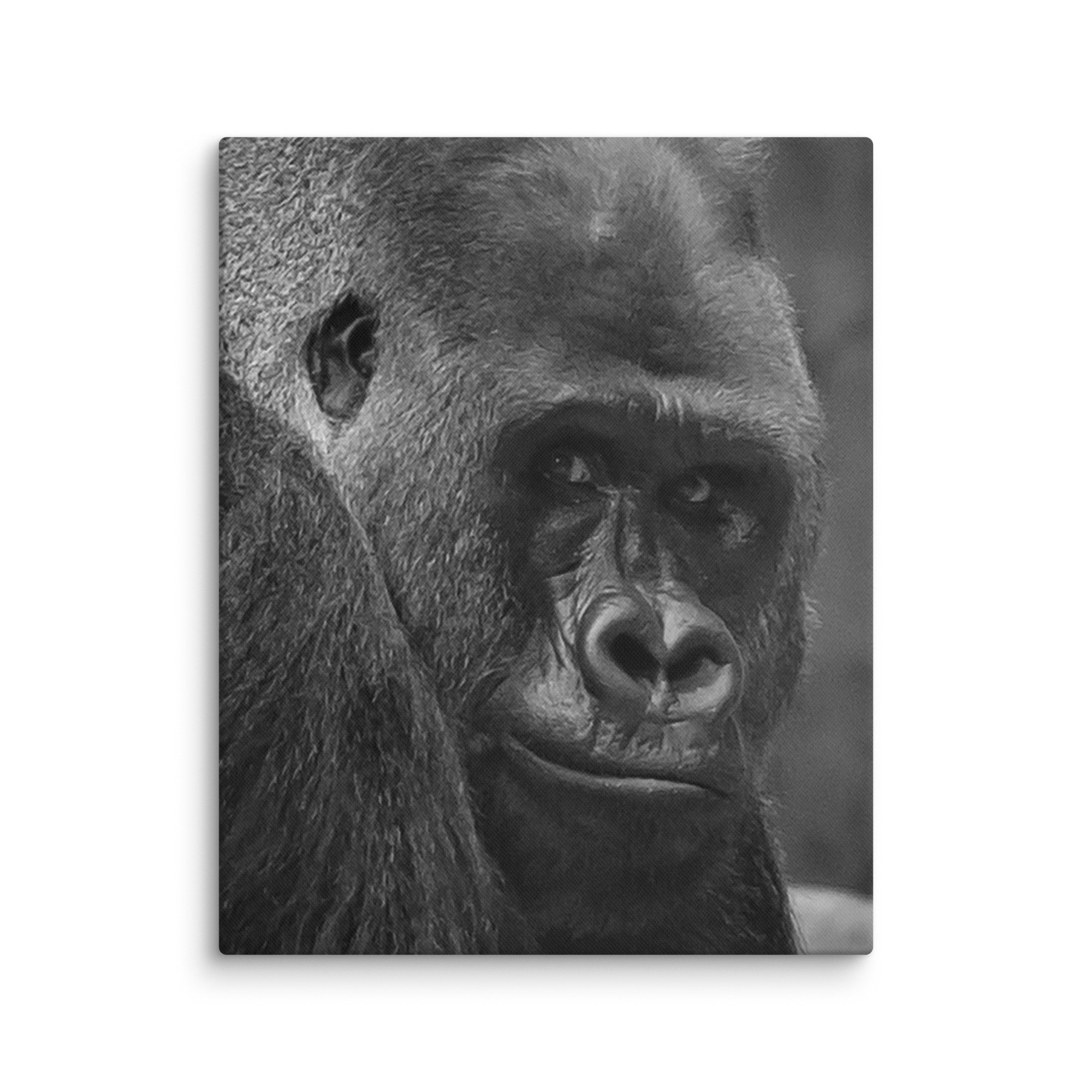 canvas-(in)-16x20-wall-6769c89c311aa.jpg