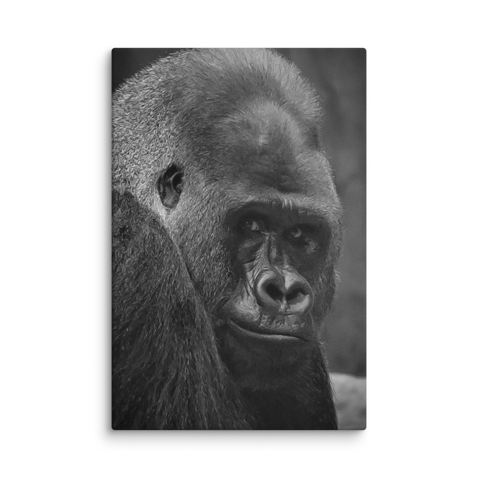 canvas-(in)-24x36-wall-6769c89c312fc.jpg