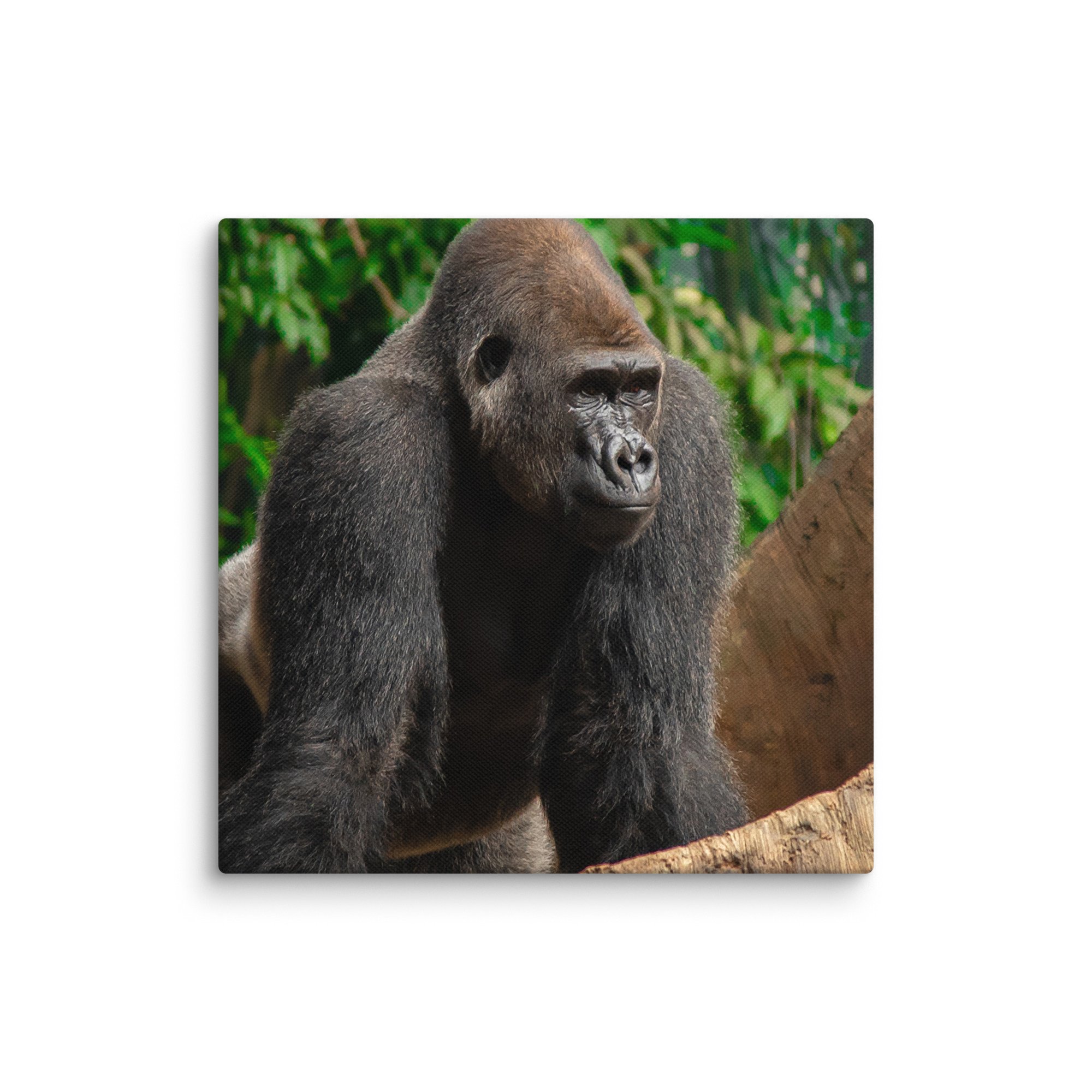 canvas-(in)-10x10-wall-6769cd04727d8.jpg