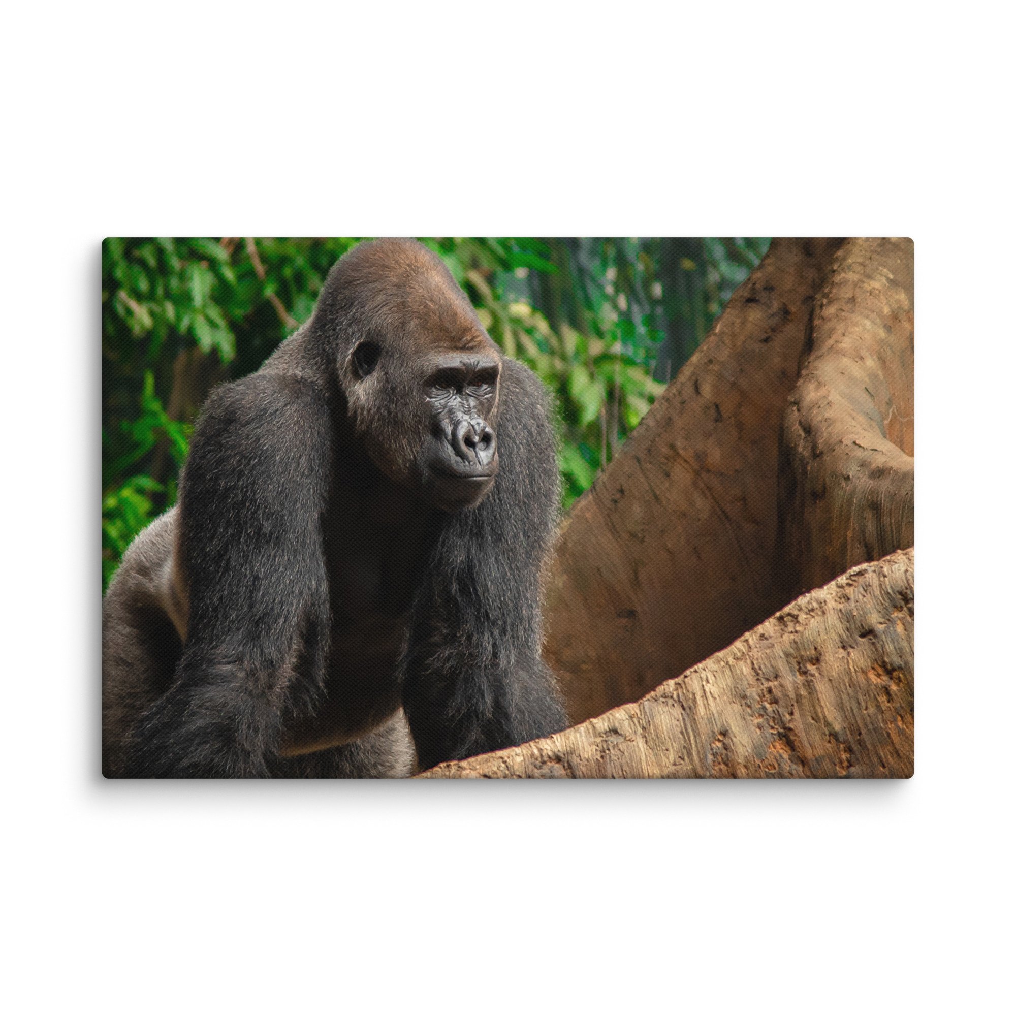 canvas-(in)-12x18-wall-6769cd04728e2.jpg
