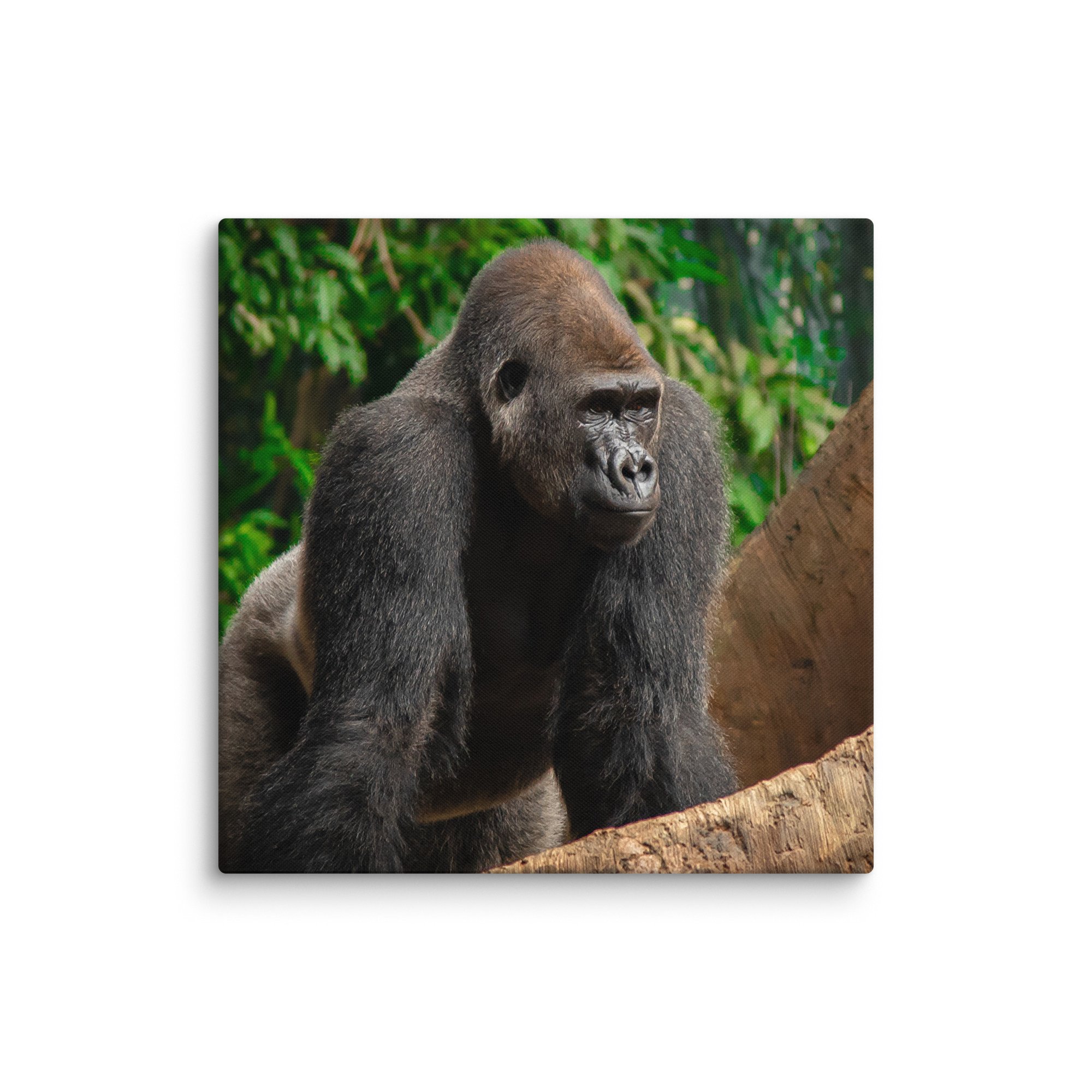 canvas-(in)-20x20-wall-6769cd0472b63.jpg