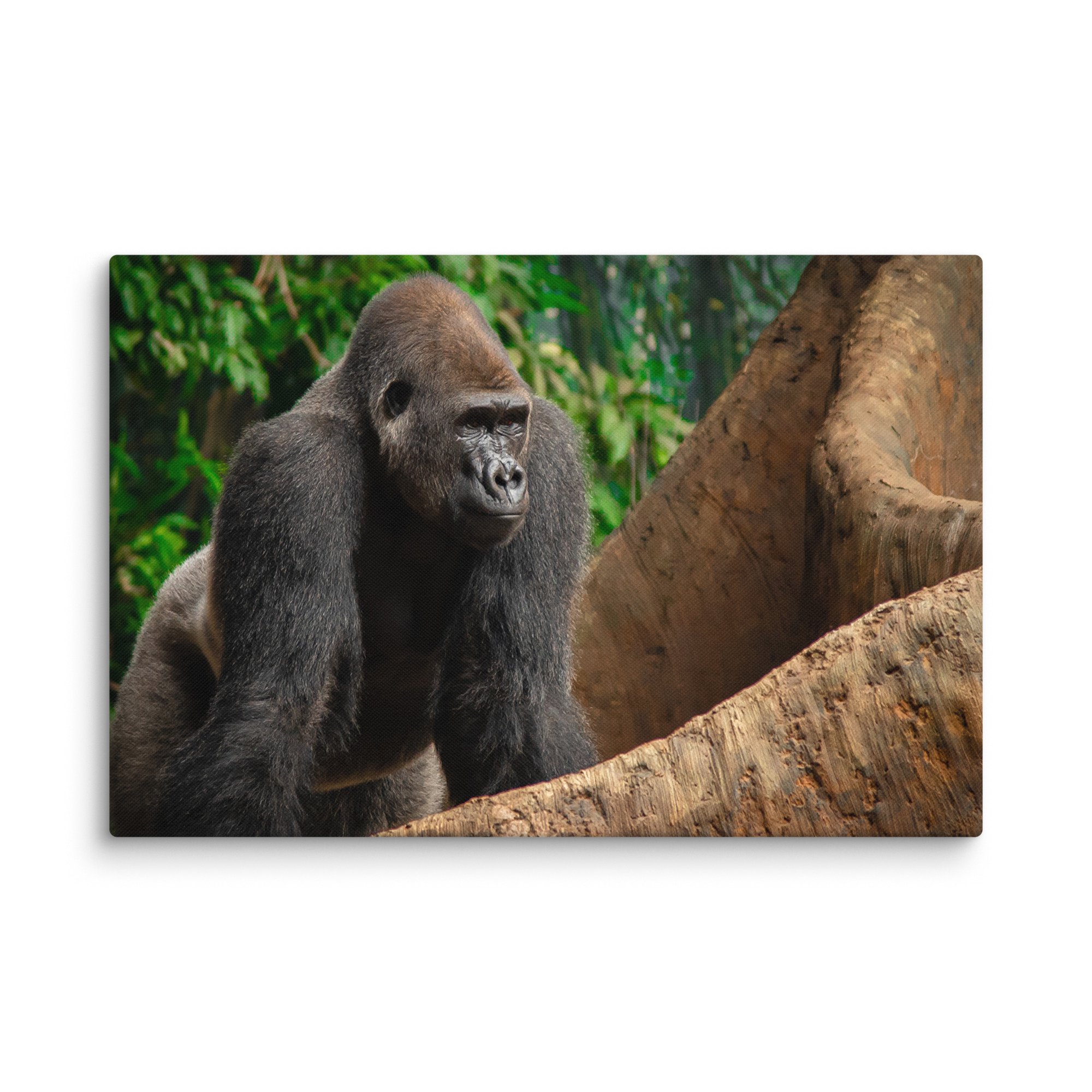 canvas-(in)-20x30-wall-6769cd0472c32.jpg