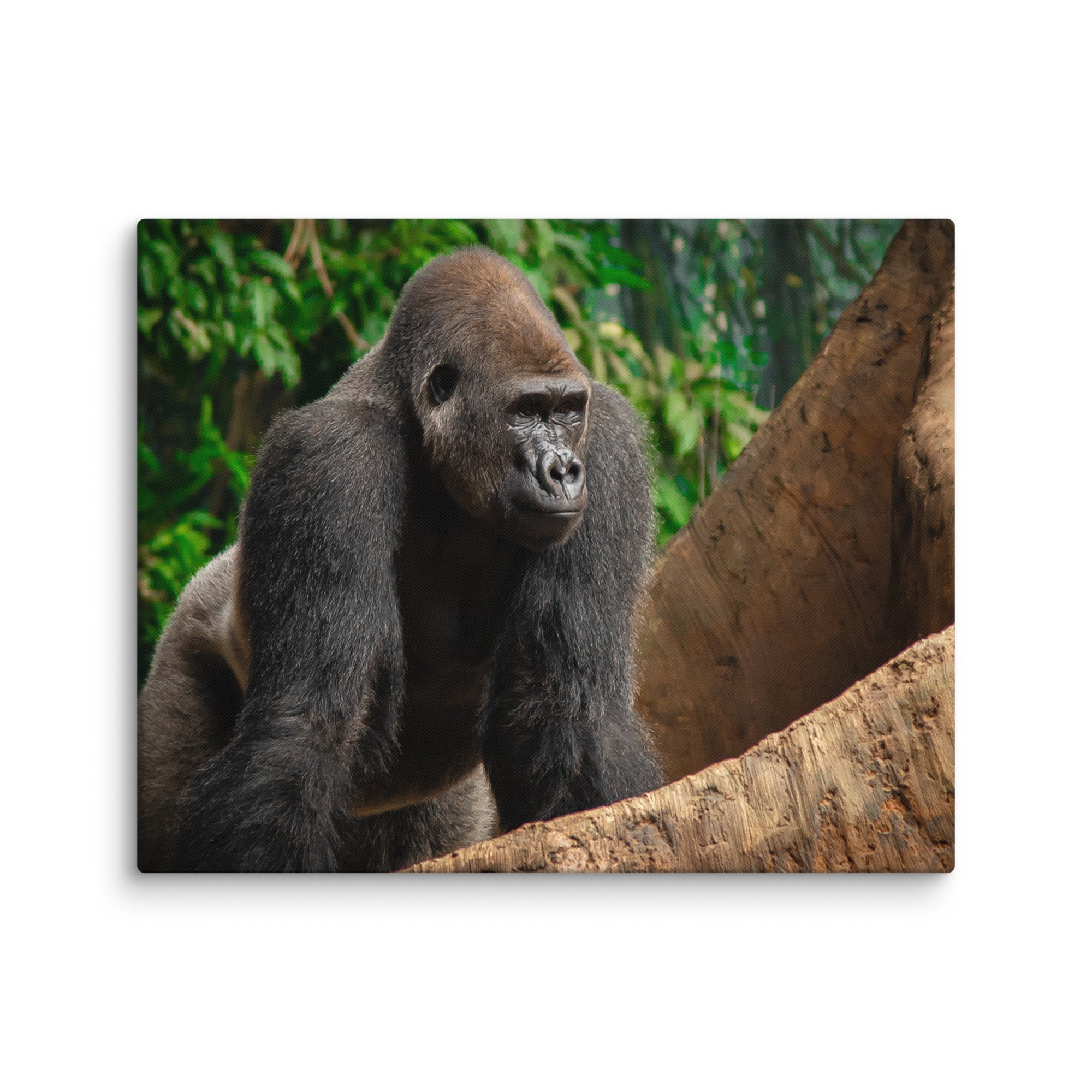 canvas-(in)-24x30-wall-6769cd0472d5d.jpg