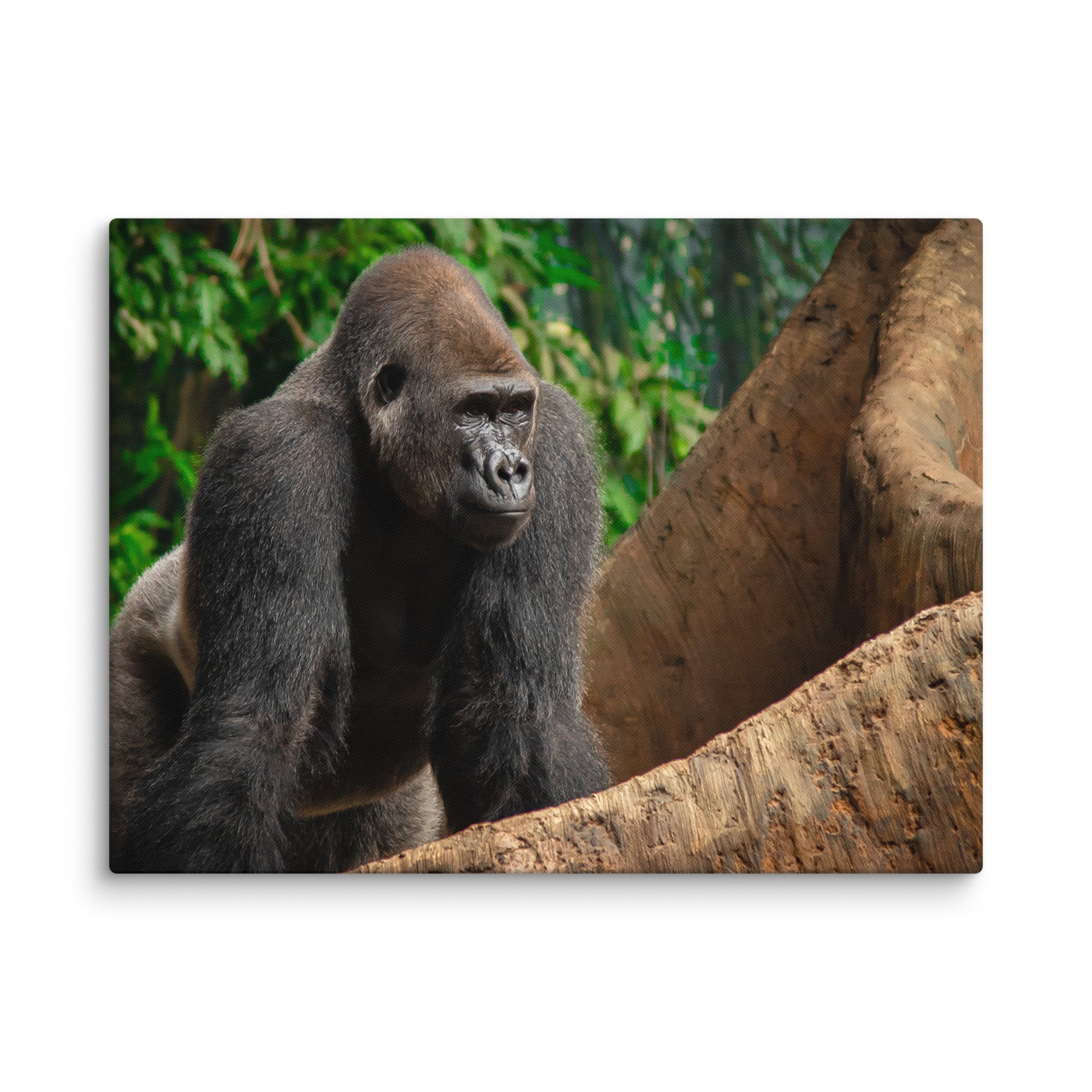 canvas-(in)-24x32-wall-6769cd0472da3.jpg