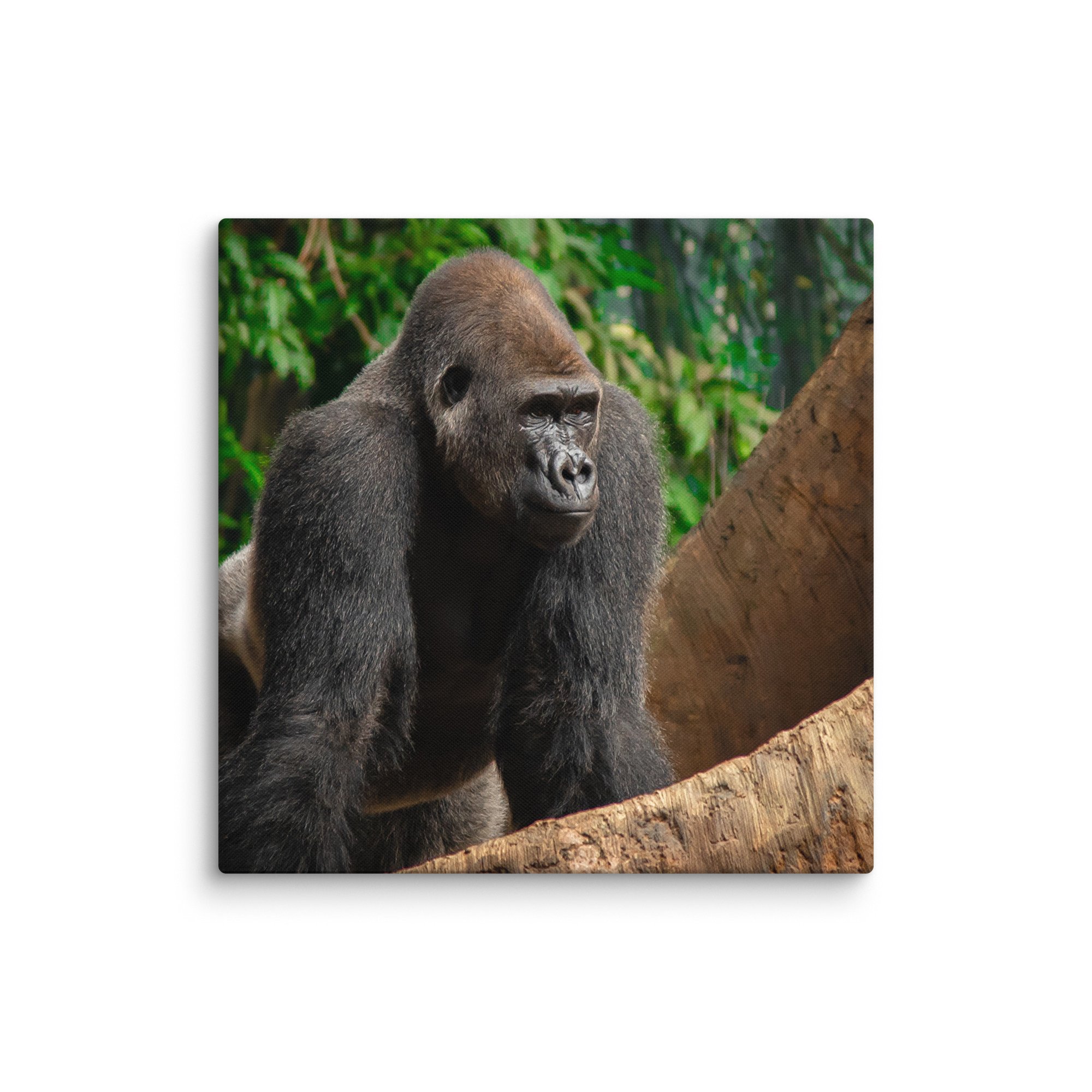 canvas-(in)-26x26-wall-6769cd0472e2d.jpg