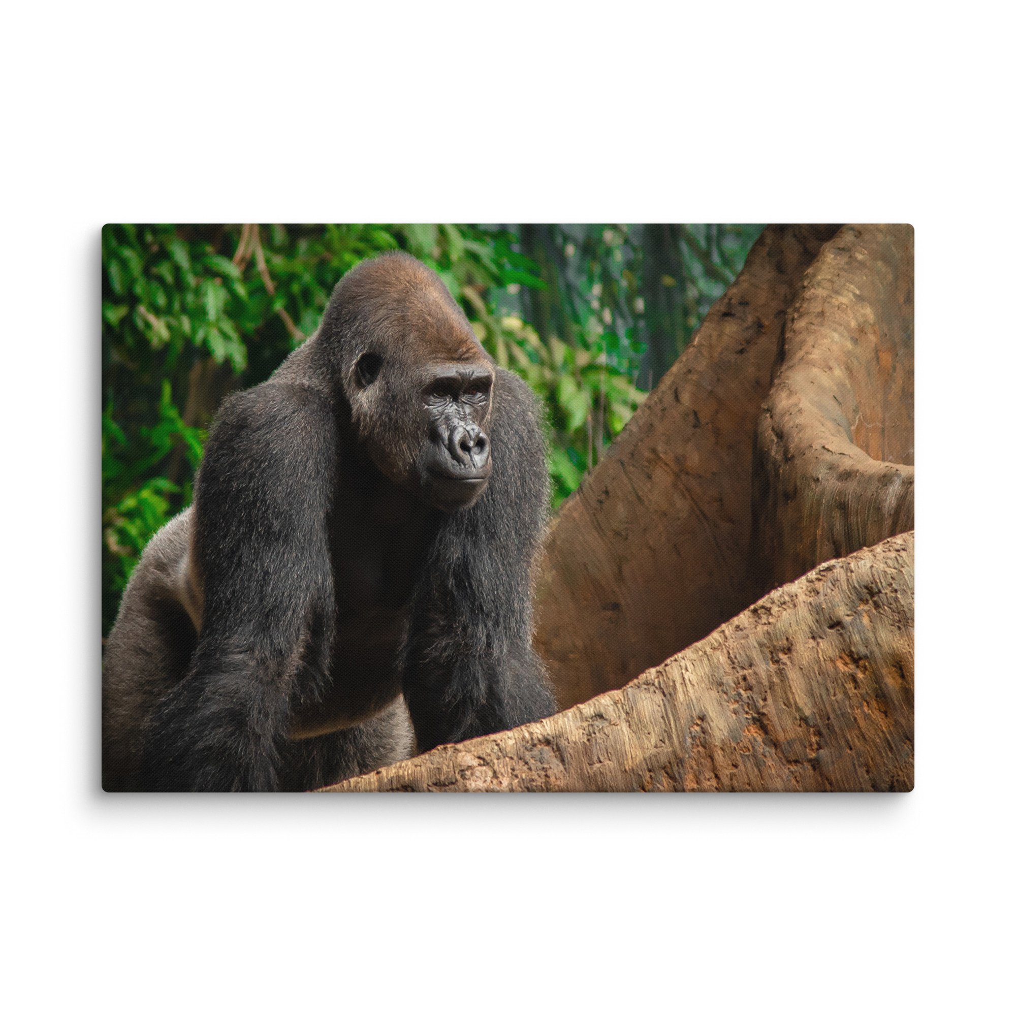 canvas-(in)-28x40-wall-6769cd0472f04.jpg