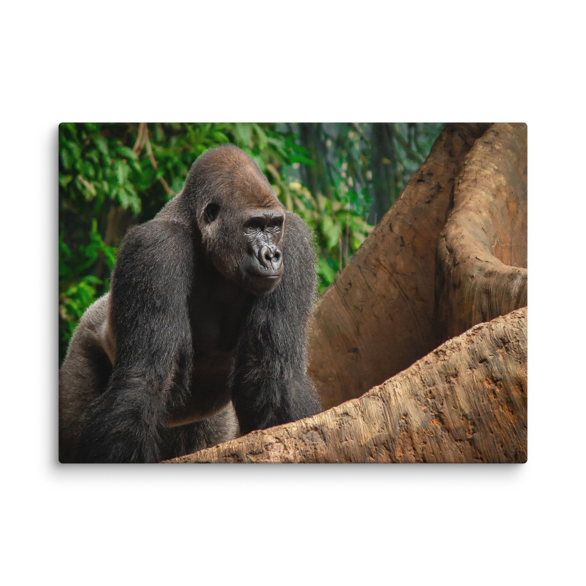 canvas-(in)-40x55-wall-6769cd0473146.jpg