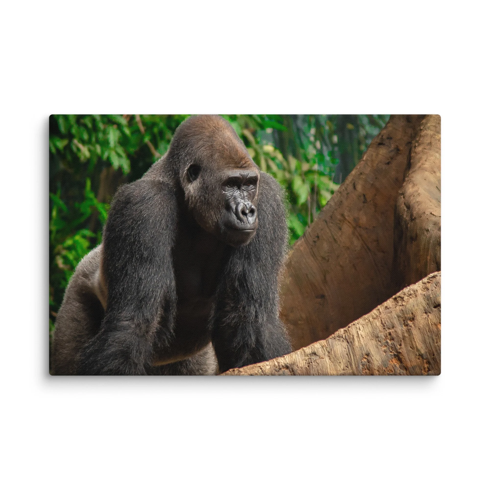 canvas-(in)-24x36-wall-6769cd04737e4.jpg
