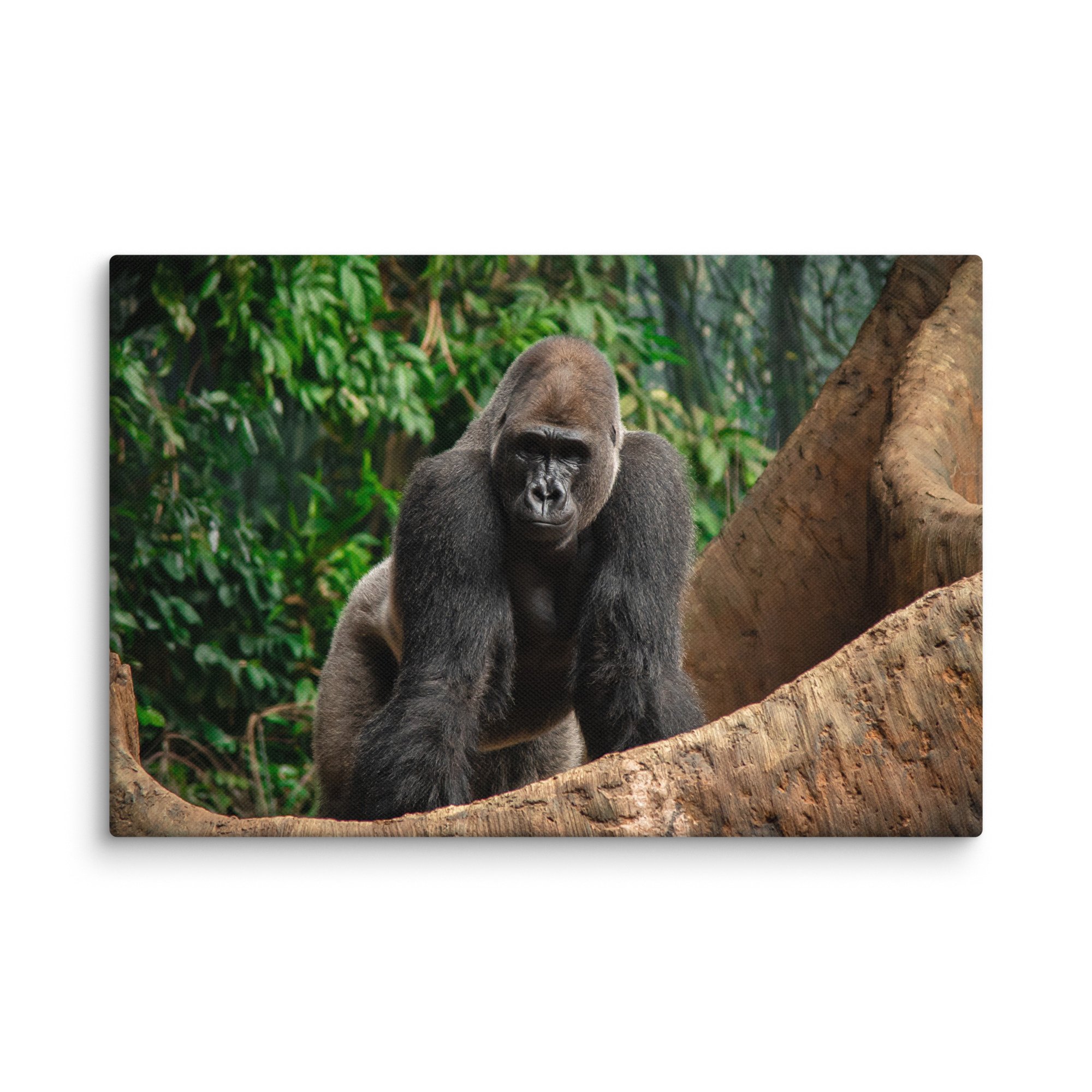 canvas-(in)-12x18-wall-67716995c6f25.jpg
