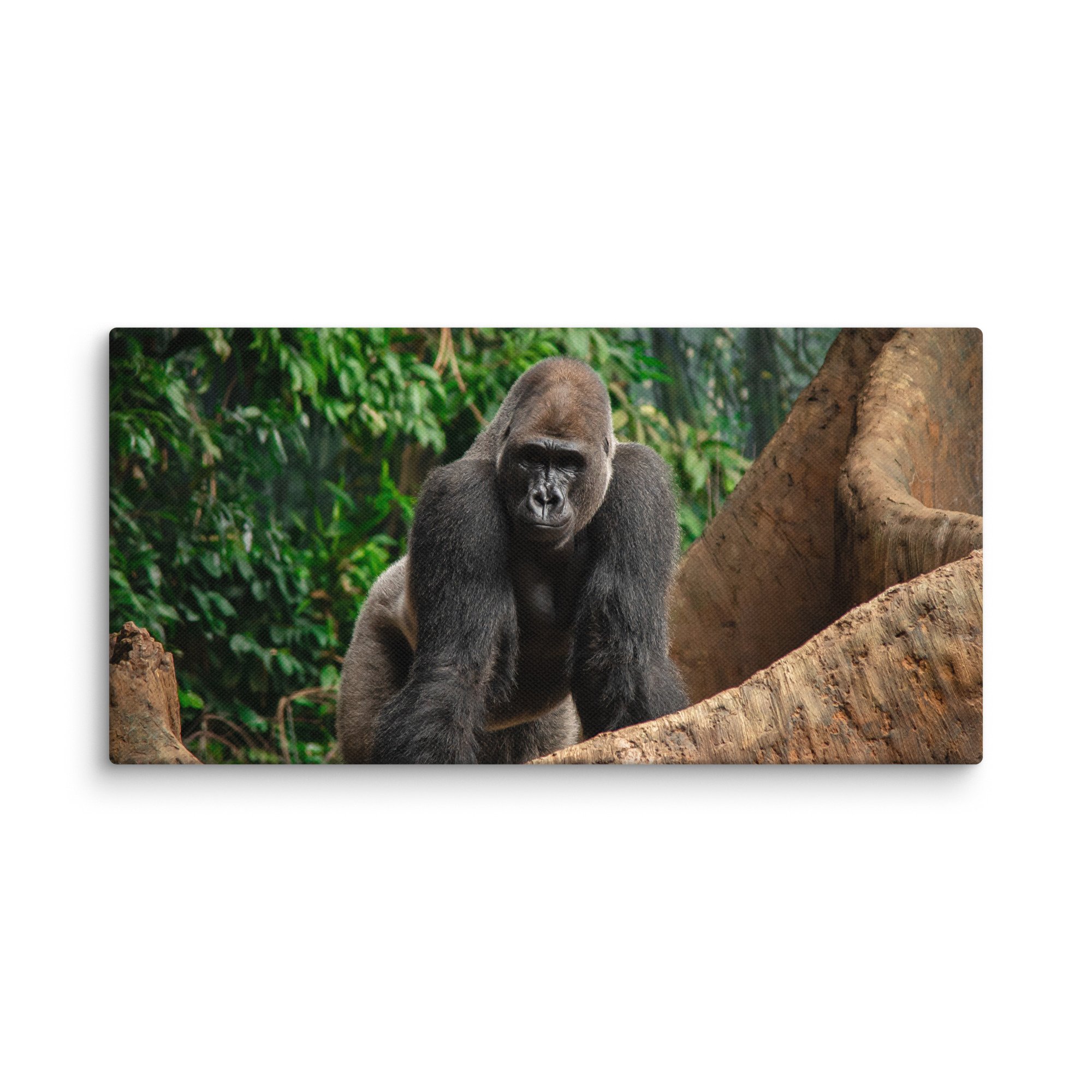 canvas-(in)-12x24-wall-67716995c6f72.jpg